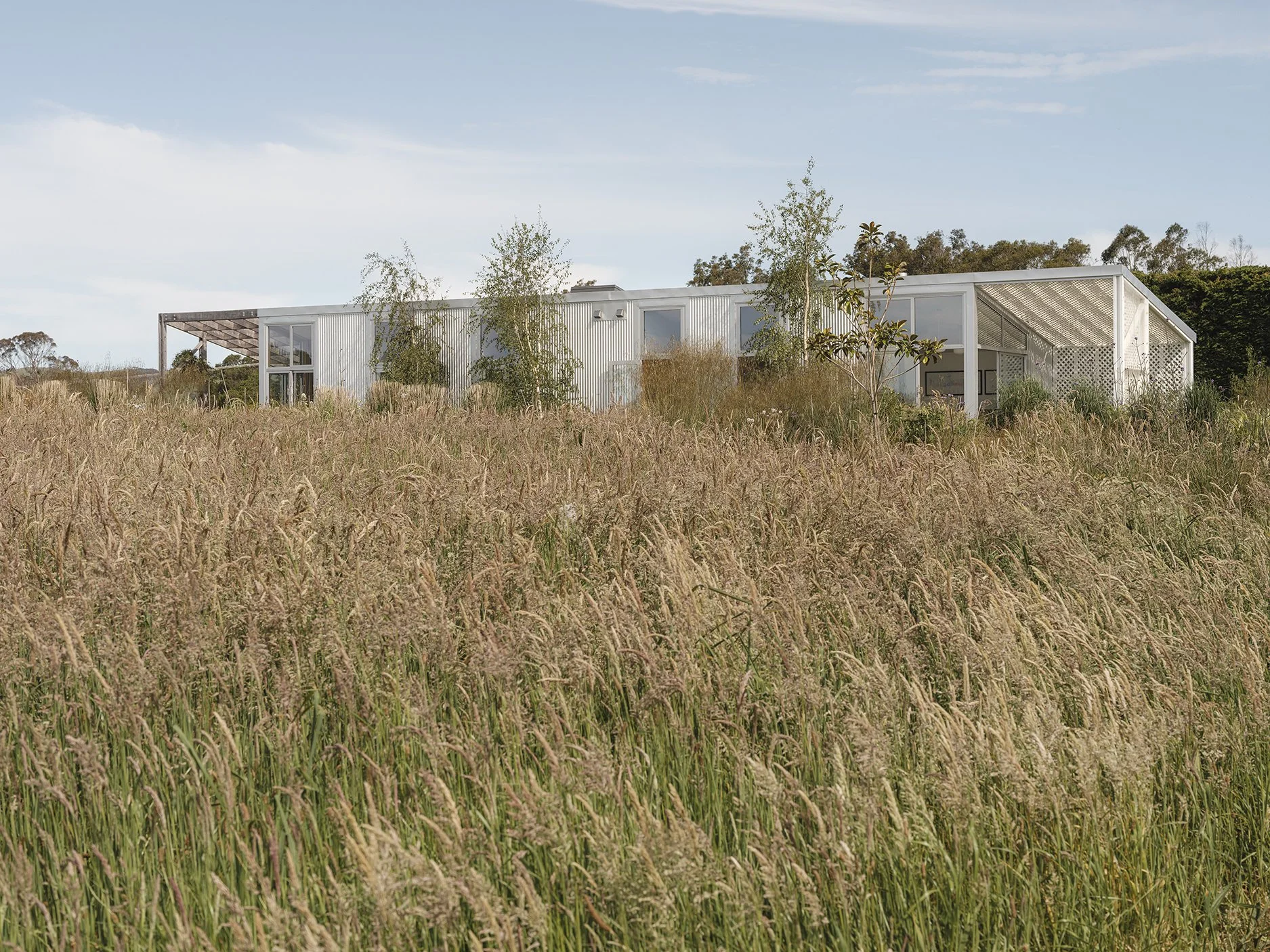 Spacecraft Architects-SCA-HINAKURARD-1125-2424.jpg