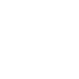 A ribbon award with a star in the center, surrounded by a circular decorative border.