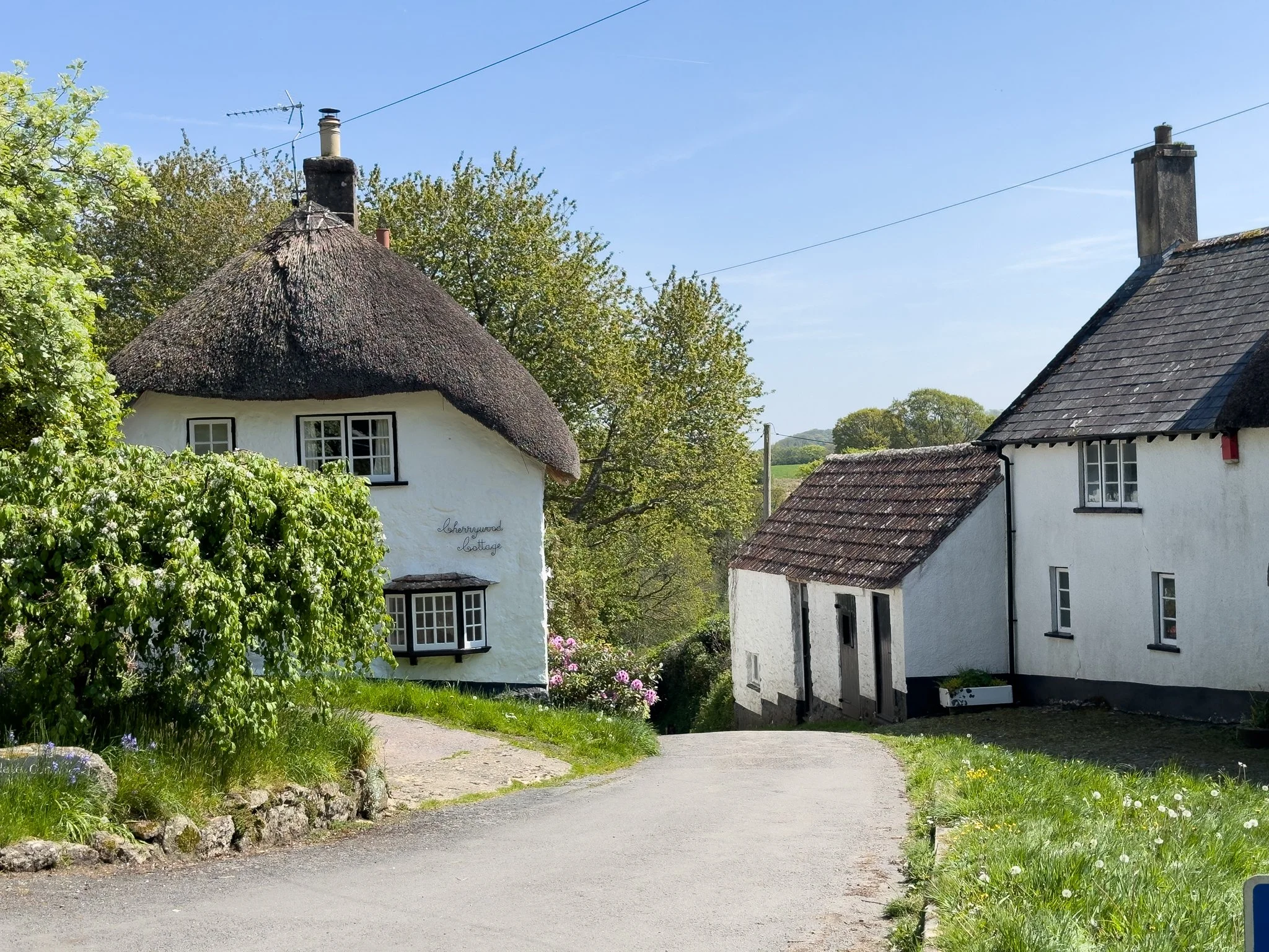 Two white cottages with thatched roofs and small windows, surrounded by green trees and bushes, under a clear blue sky, with a winding dirt path in front.