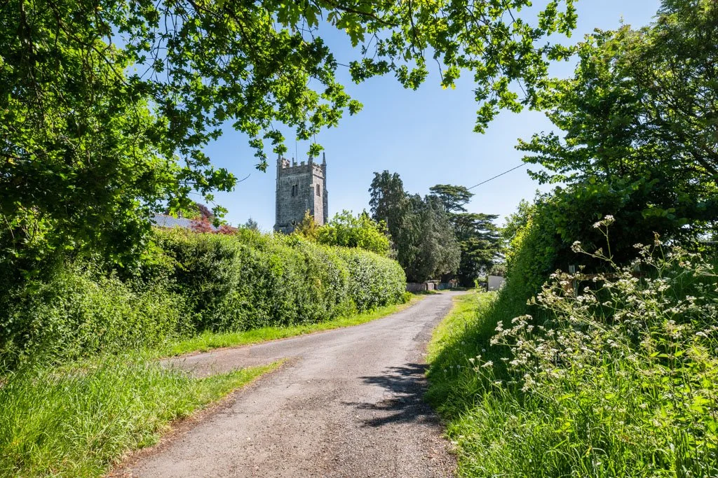 A dirt path winding through lush greenery with a stone tower visible in the distance under a clear blue sky.