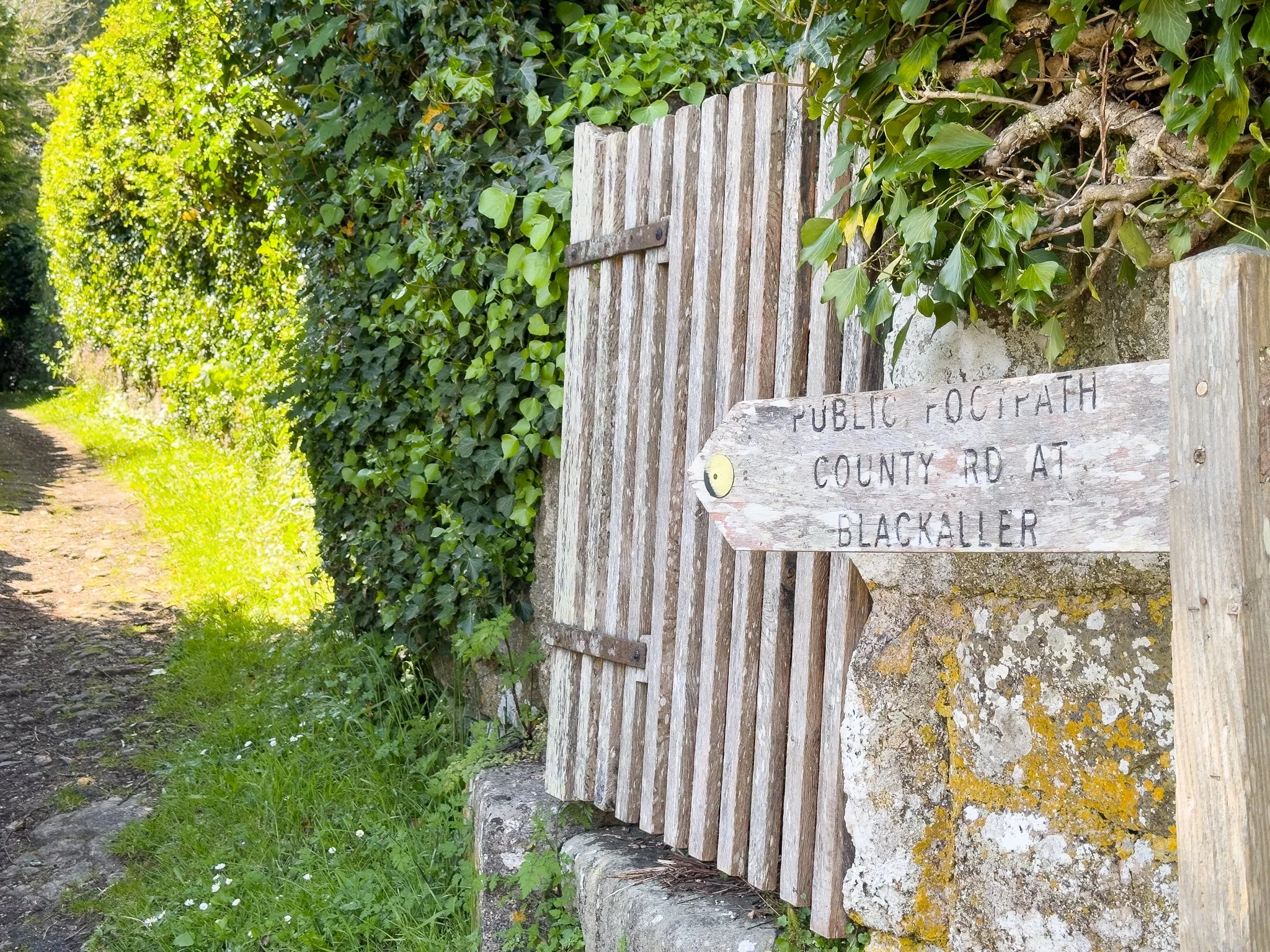 A wooden gate with a sign that reads 'Public Footpath County Rd at Blackaller', surrounded by lush green foliage and trees on a sunny day.