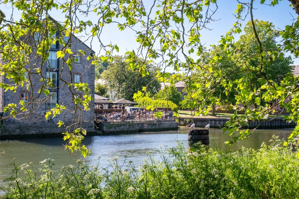 A riverside scene with green foliage in the foreground, a stone building with blue balconies on the left, and a waterfront area with outdoor seating and seagulls perched on a post.