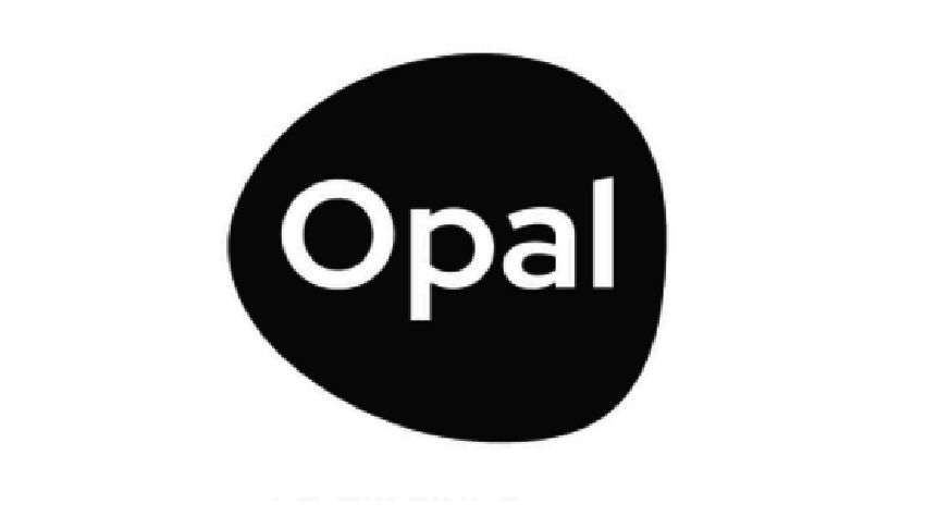 A black guitar pick with the word 'Opal' written on it in white letters.