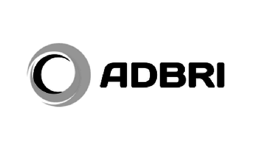 Logo with circular design and the text 'ADBIR' in bold black letters