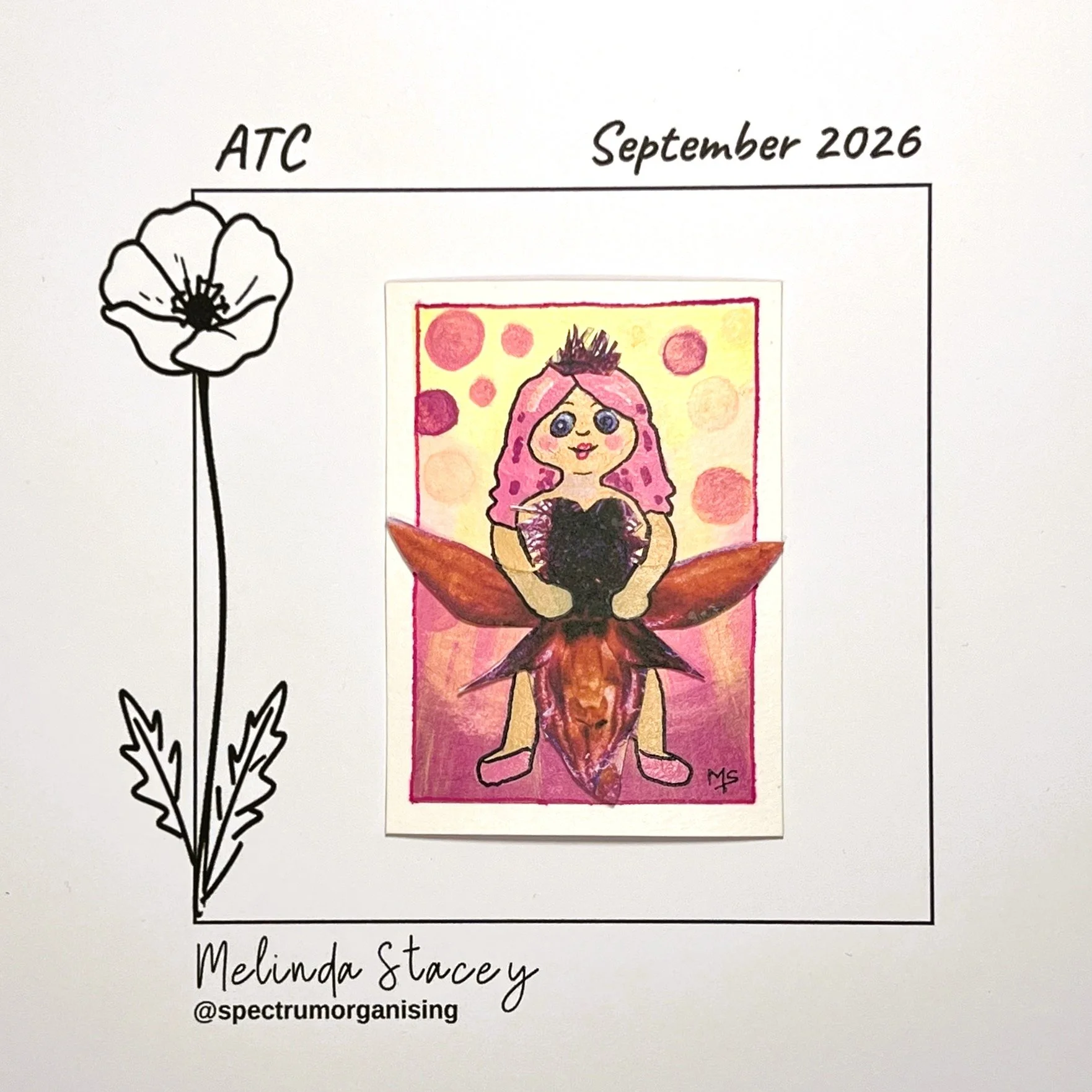 09-2026-ATC-CANBERRASPIDERORCHID-13/36
