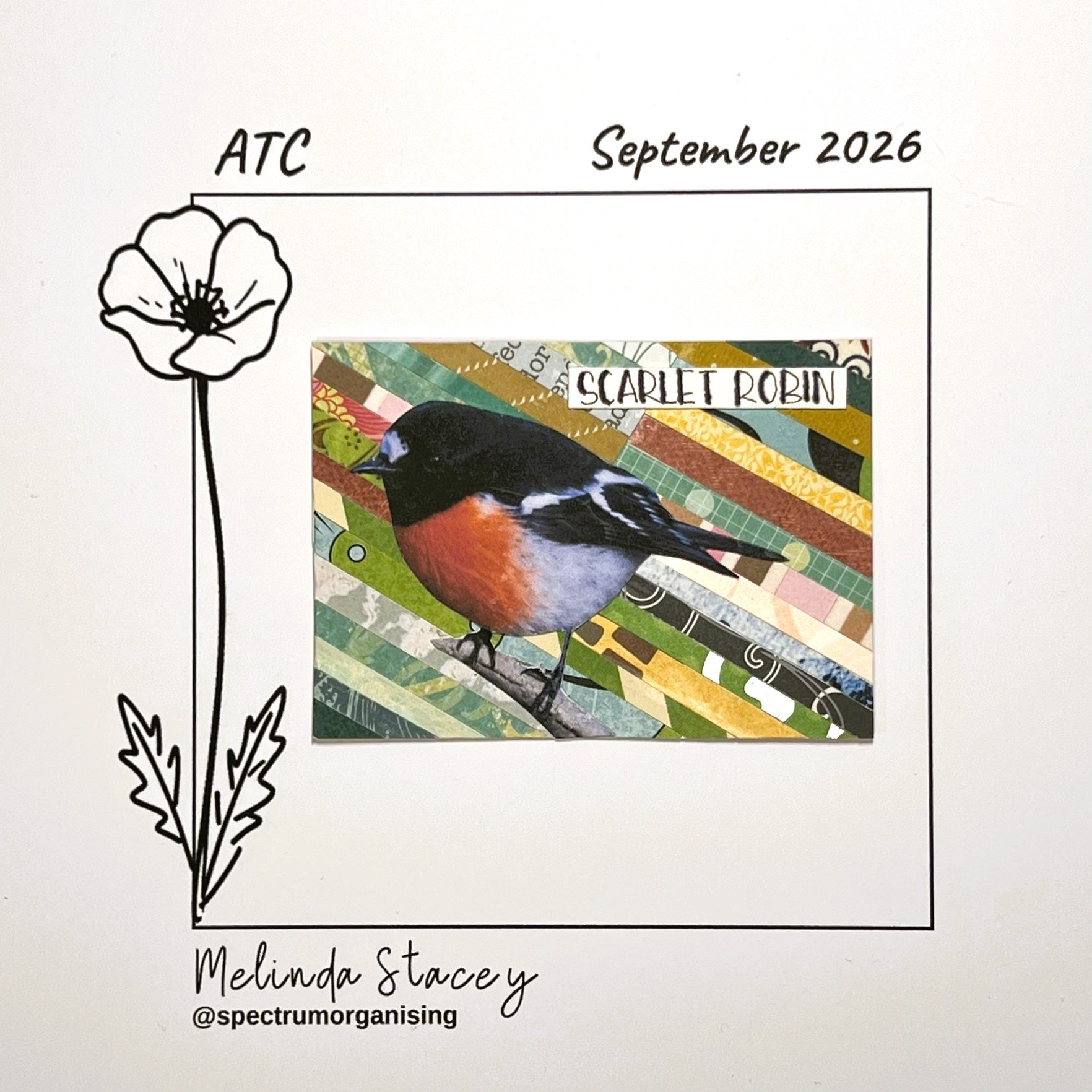 09-2026-ATC-SCARLETROBIN-35/36
