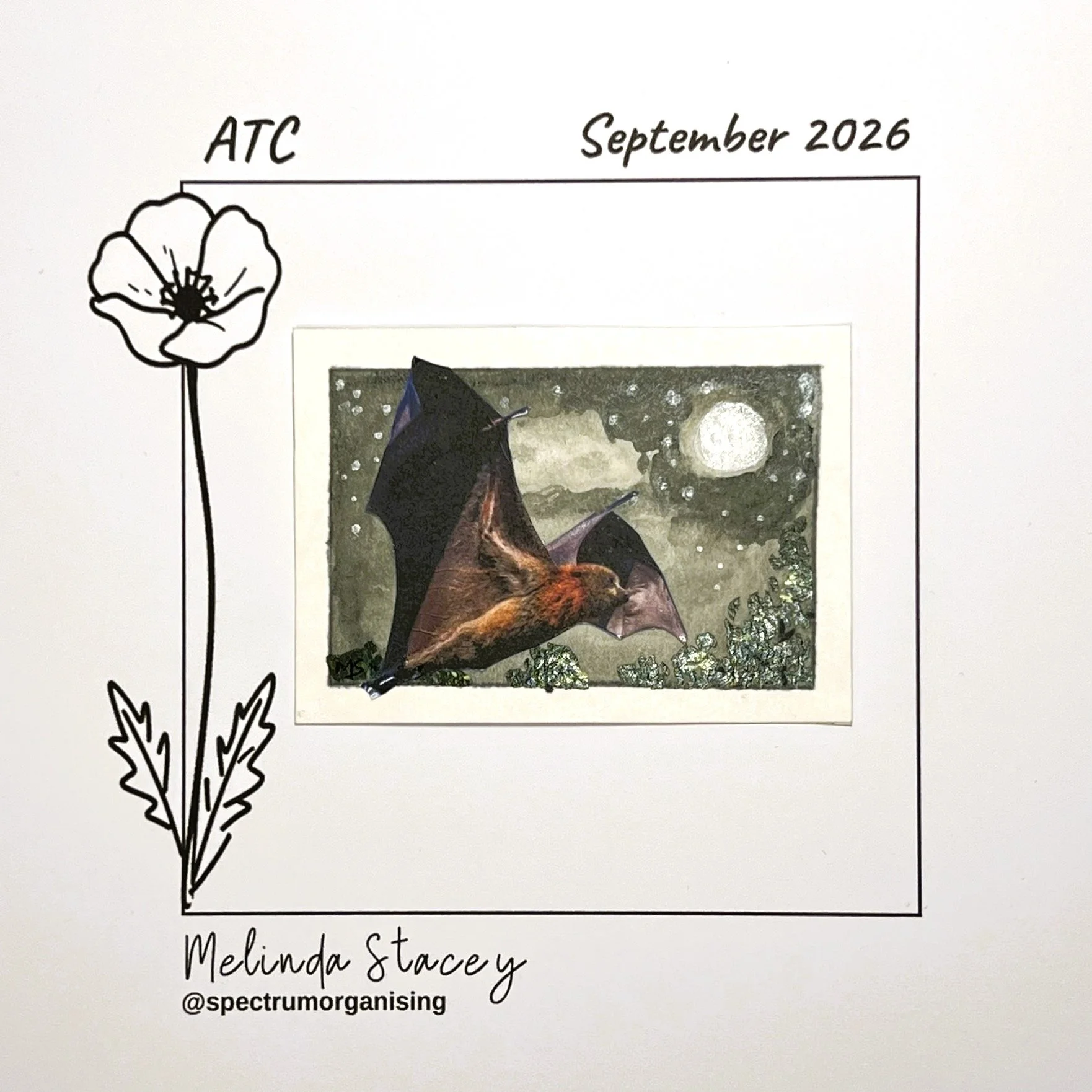09-2026-ATC-GREYHEADEDFLYINGFOX-11/36

