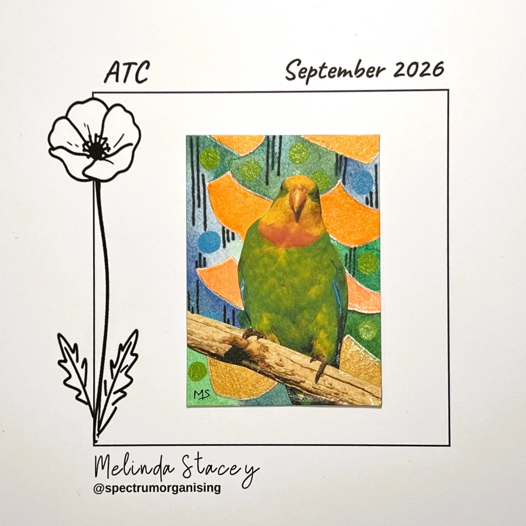 09-2026-ATC-SUPERBPARROT-18/36
