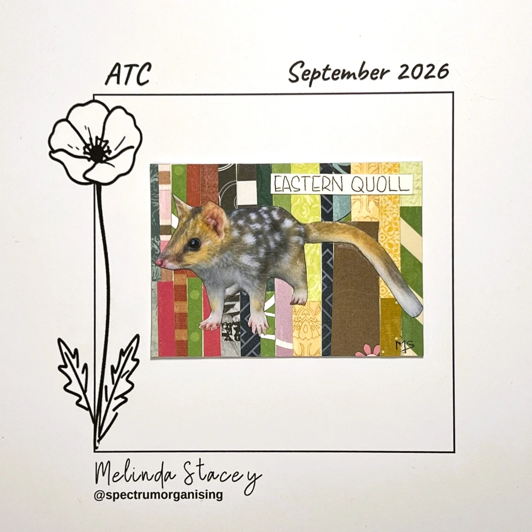 09-2026-ATC-EASTERNQUOLL-31/36
