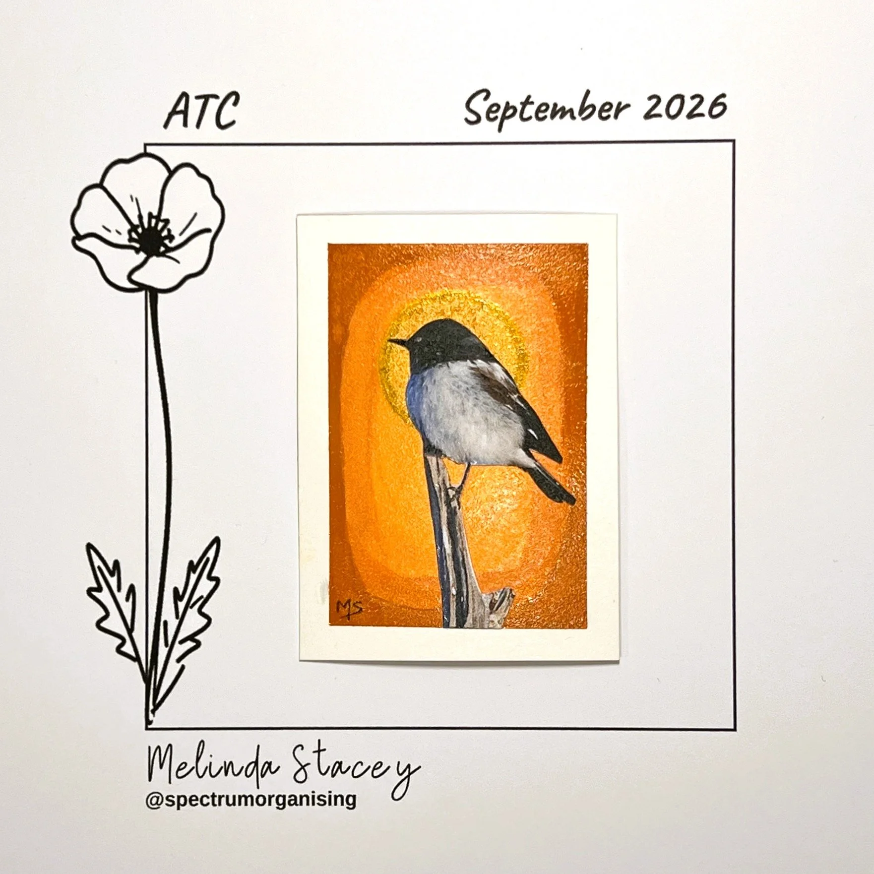09-2026-ATC-HOODEDROBIN-04/36
