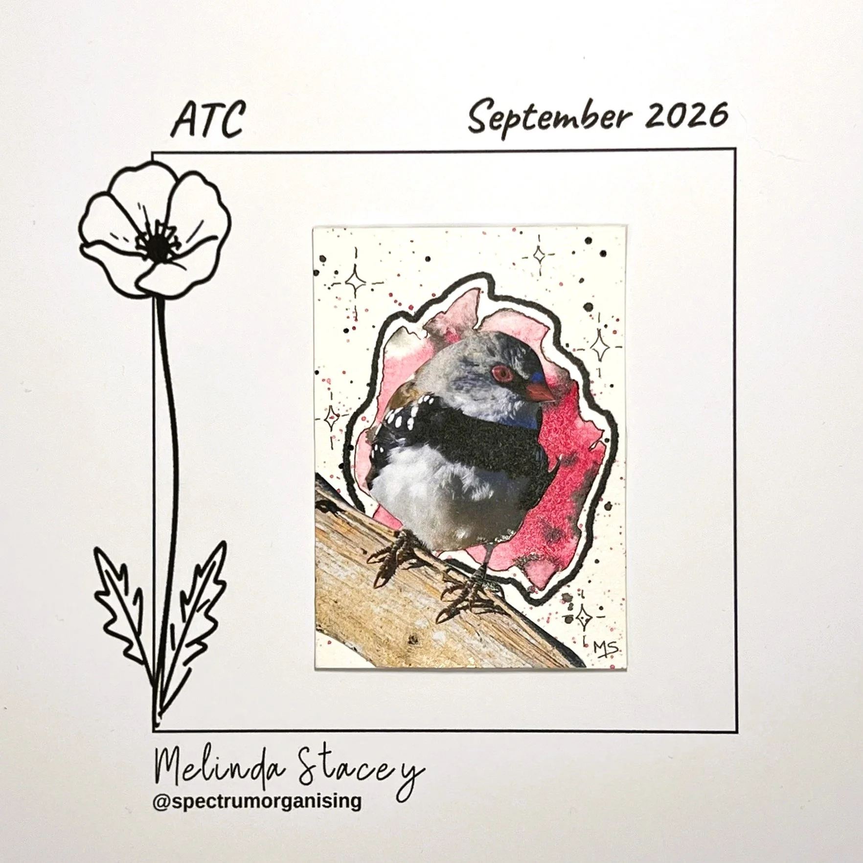 09-2026-ATC-DIAMONDFIRETAIL-23/36
