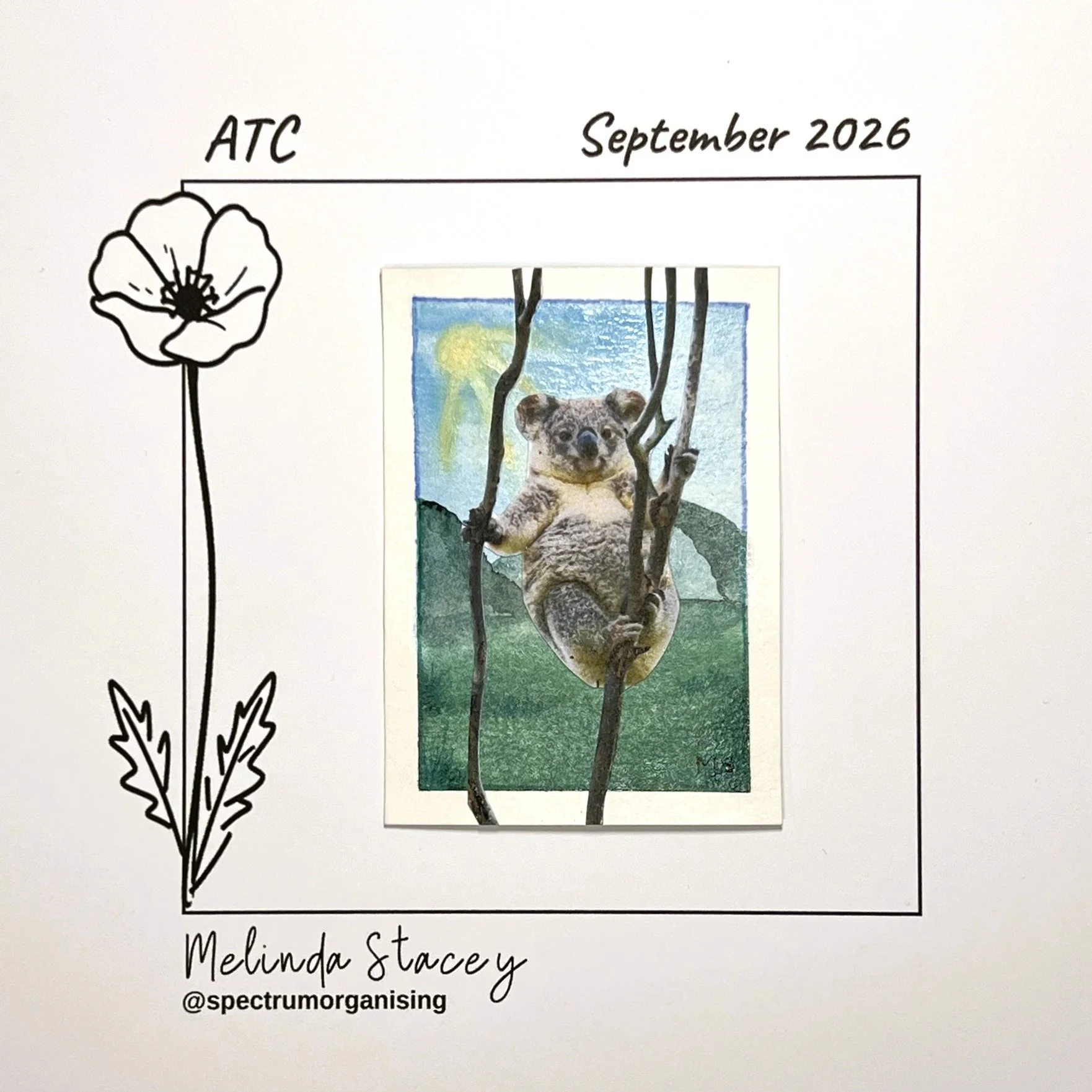 09-2026-ATC-KOALA-09/36
