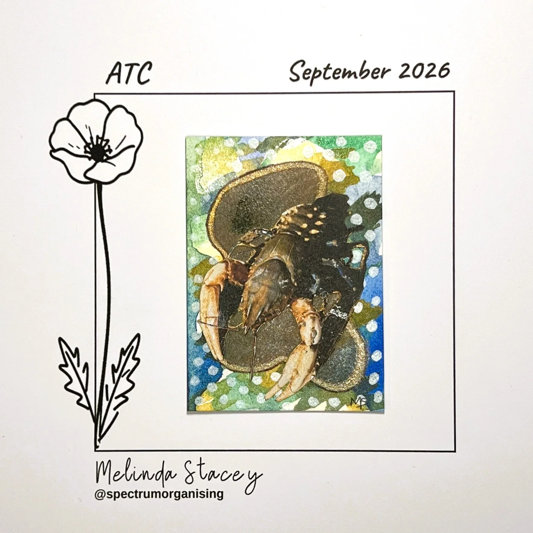 09-2026-ATC-MURRAYRIVERCRAYFISH-17/36

