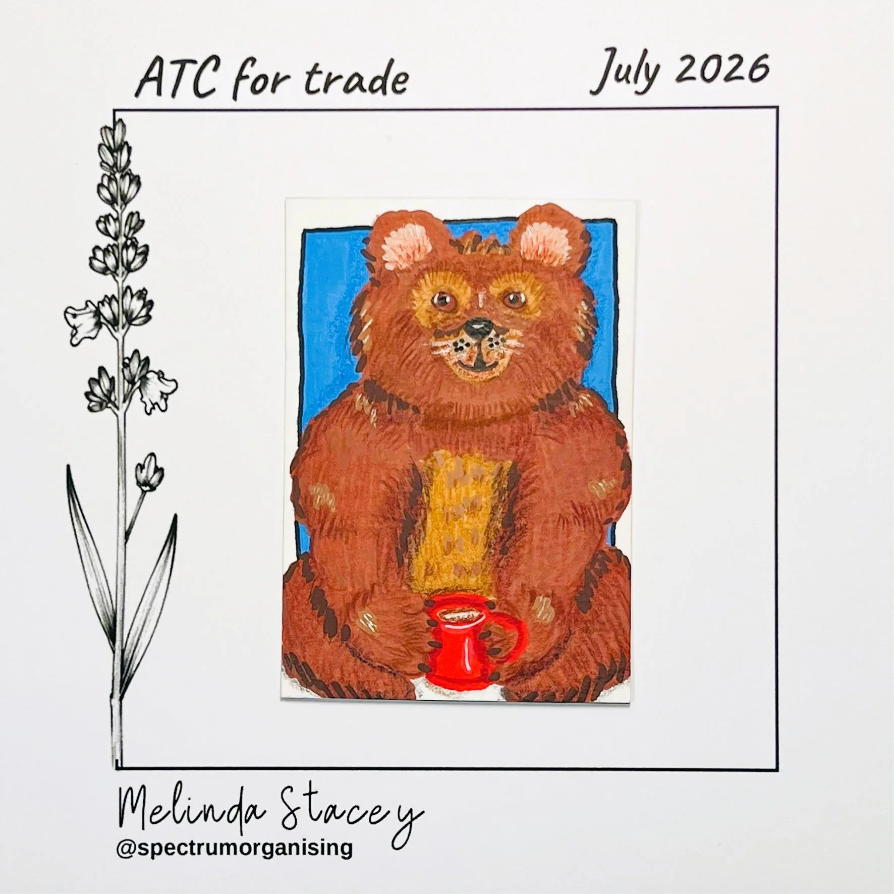 07-2026-ATC-COSY-BEAR-01/01