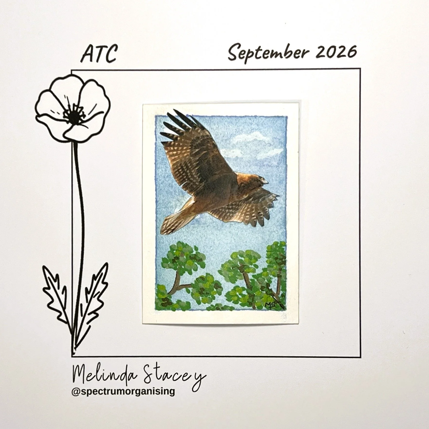09-2026-ATC-LITTLEEAGLE-01/36

