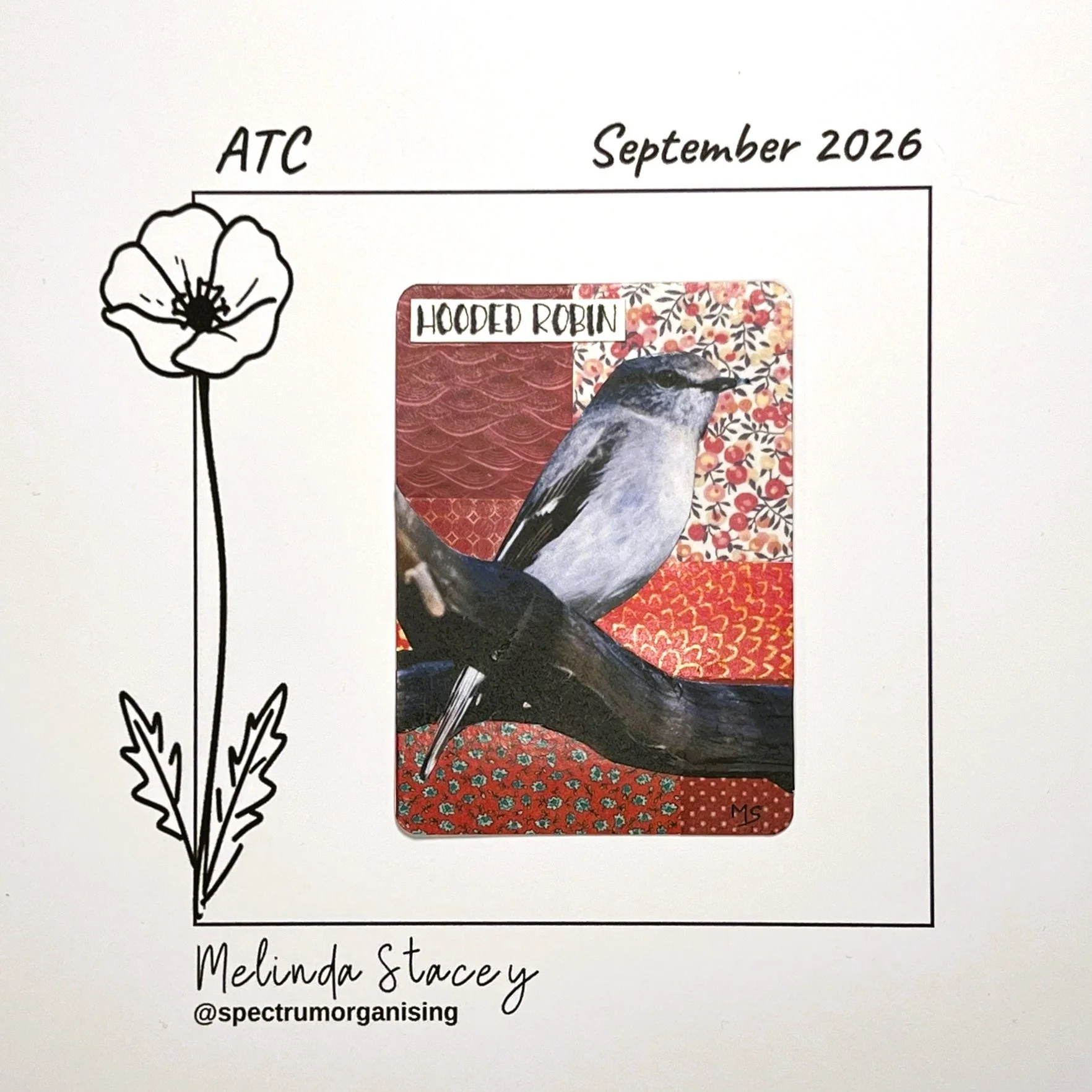 09-2026-ATC-HOODEDROBIN-20/36

