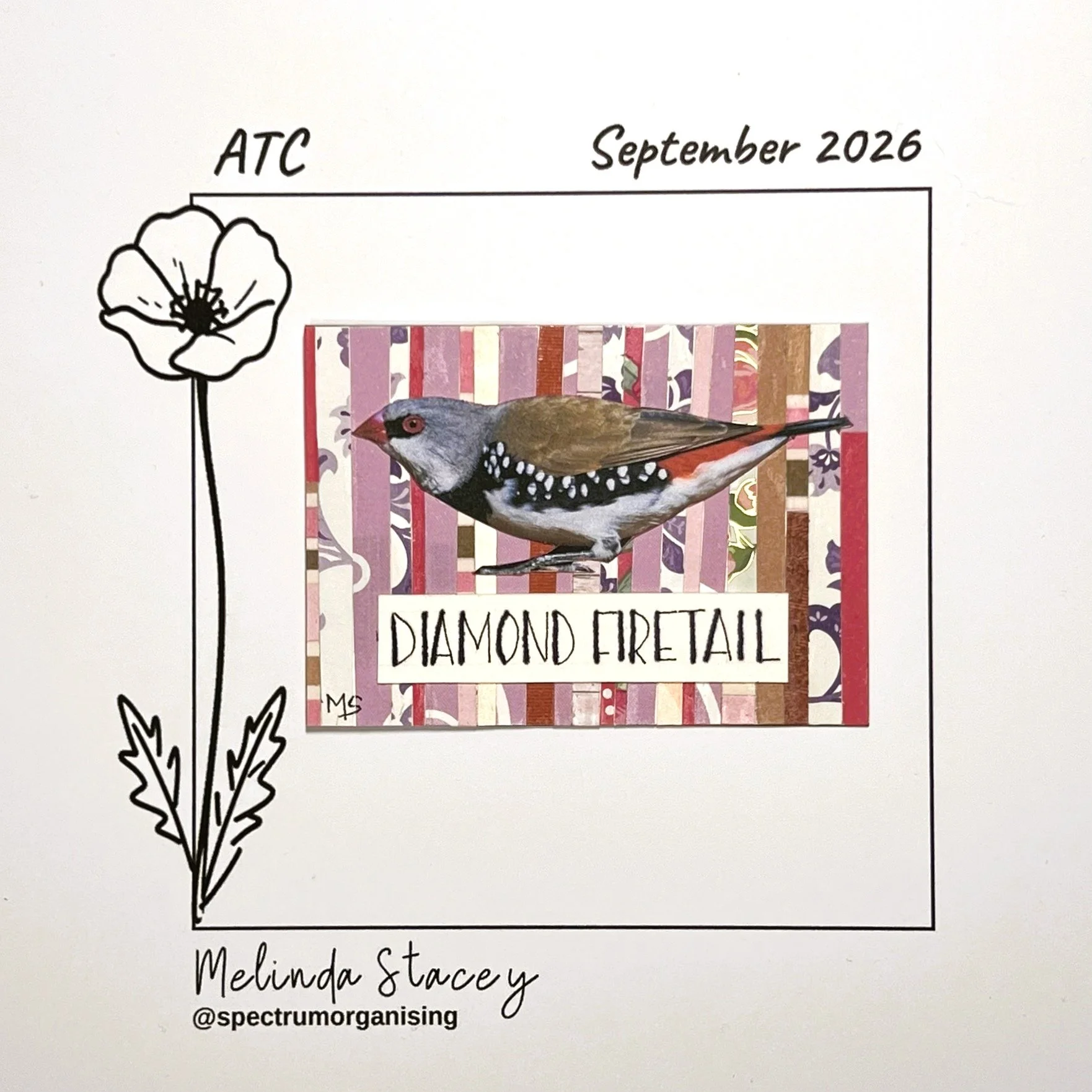 09-2026-ATC-DIAMONDFIRETAIL-33/36
