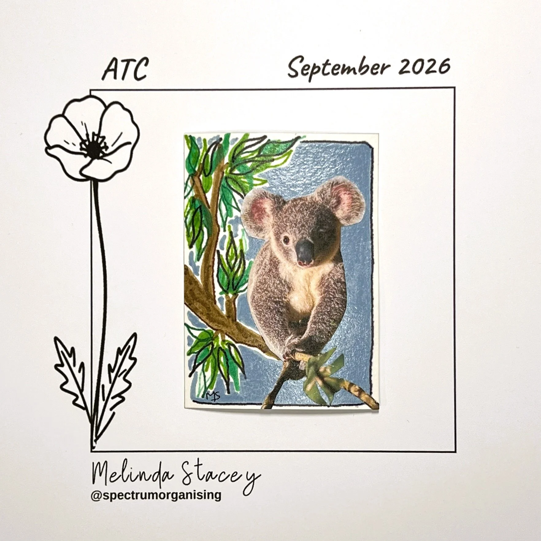 09-2026-ATC-KOALA-07/36
