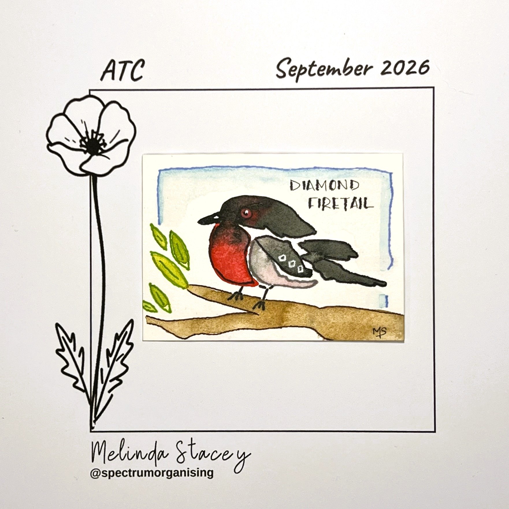 09-2026-ATC-DIAMONDFIRETAIL-22/36
