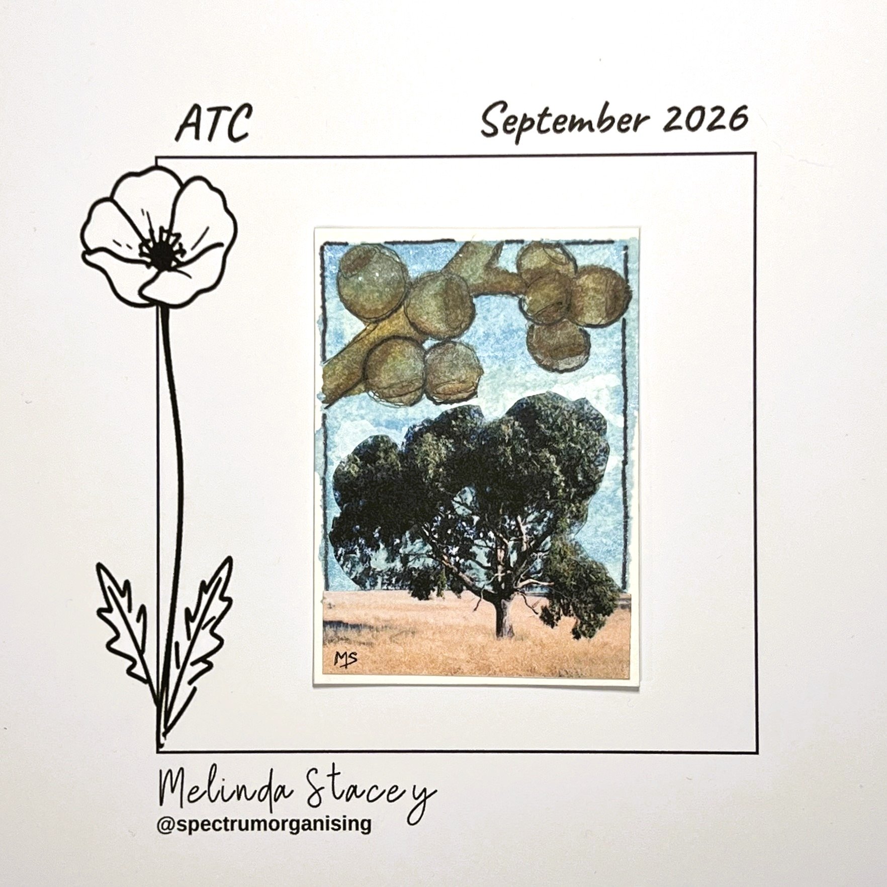 09-2026-ATC-BLACKGUM-26/36
