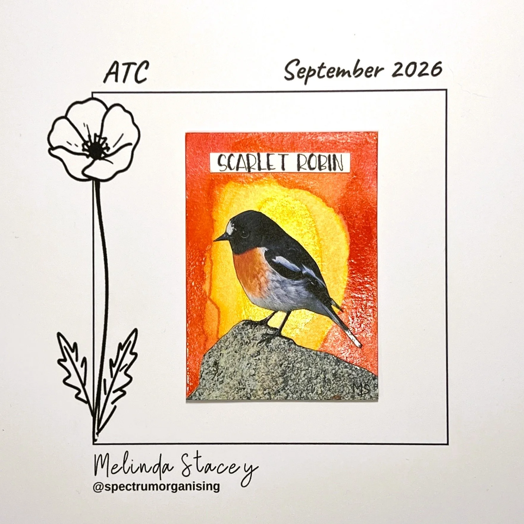 09-2026-ATC-SCARLETROBIN-21/36
