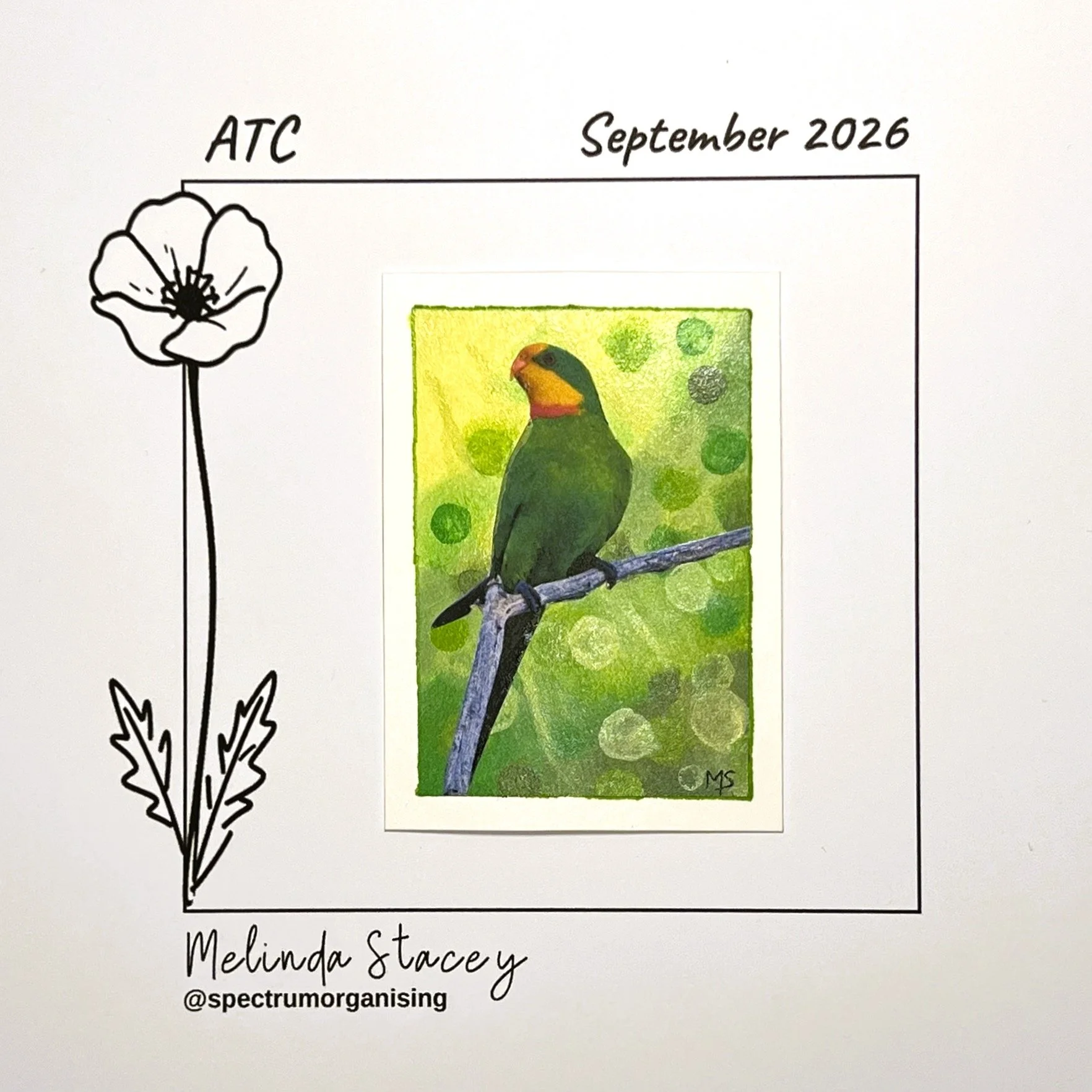 09-2026-ATC-SUPERBPARROT-05/36
