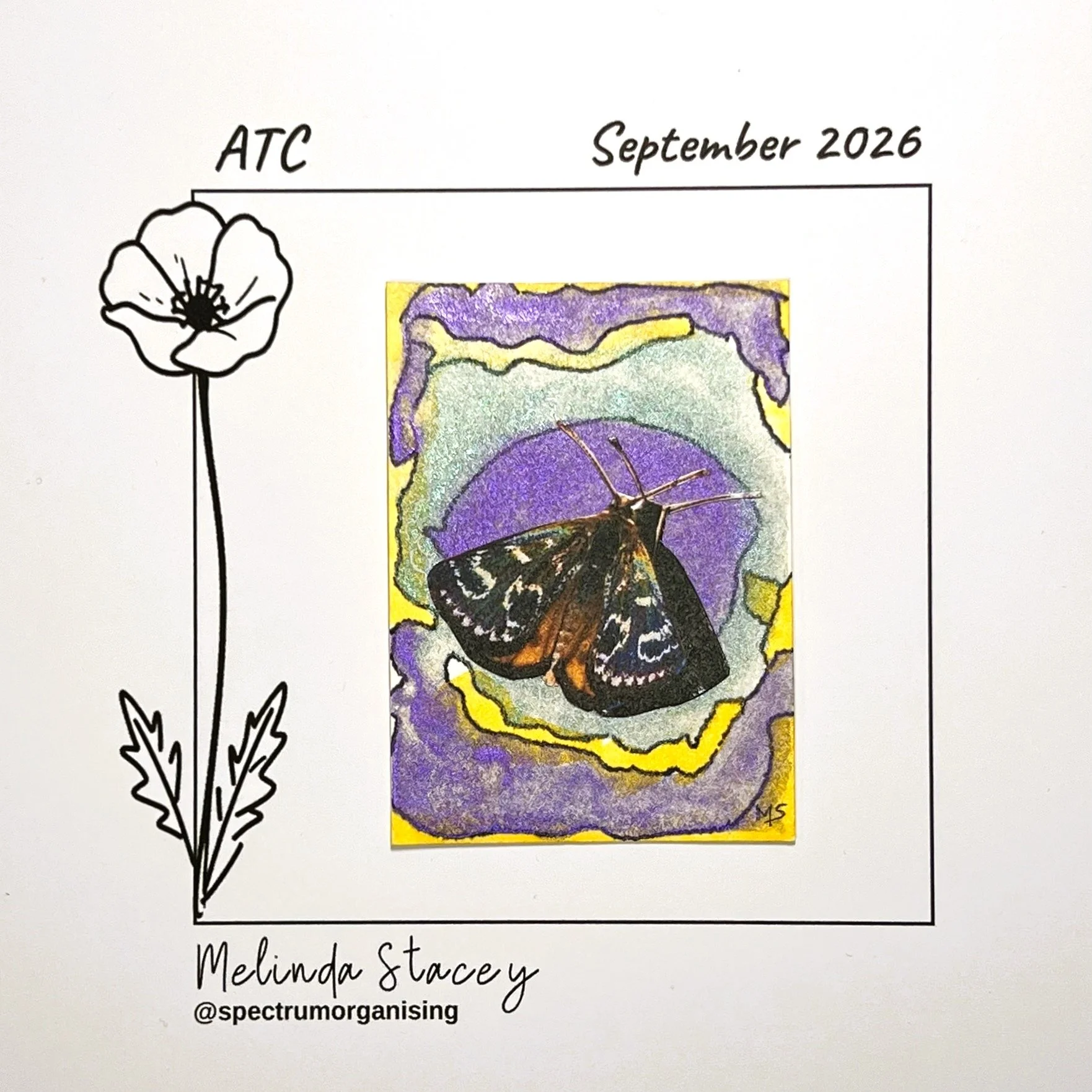 09-2026-ATC-GOLDENSUNMOTH-15/36
