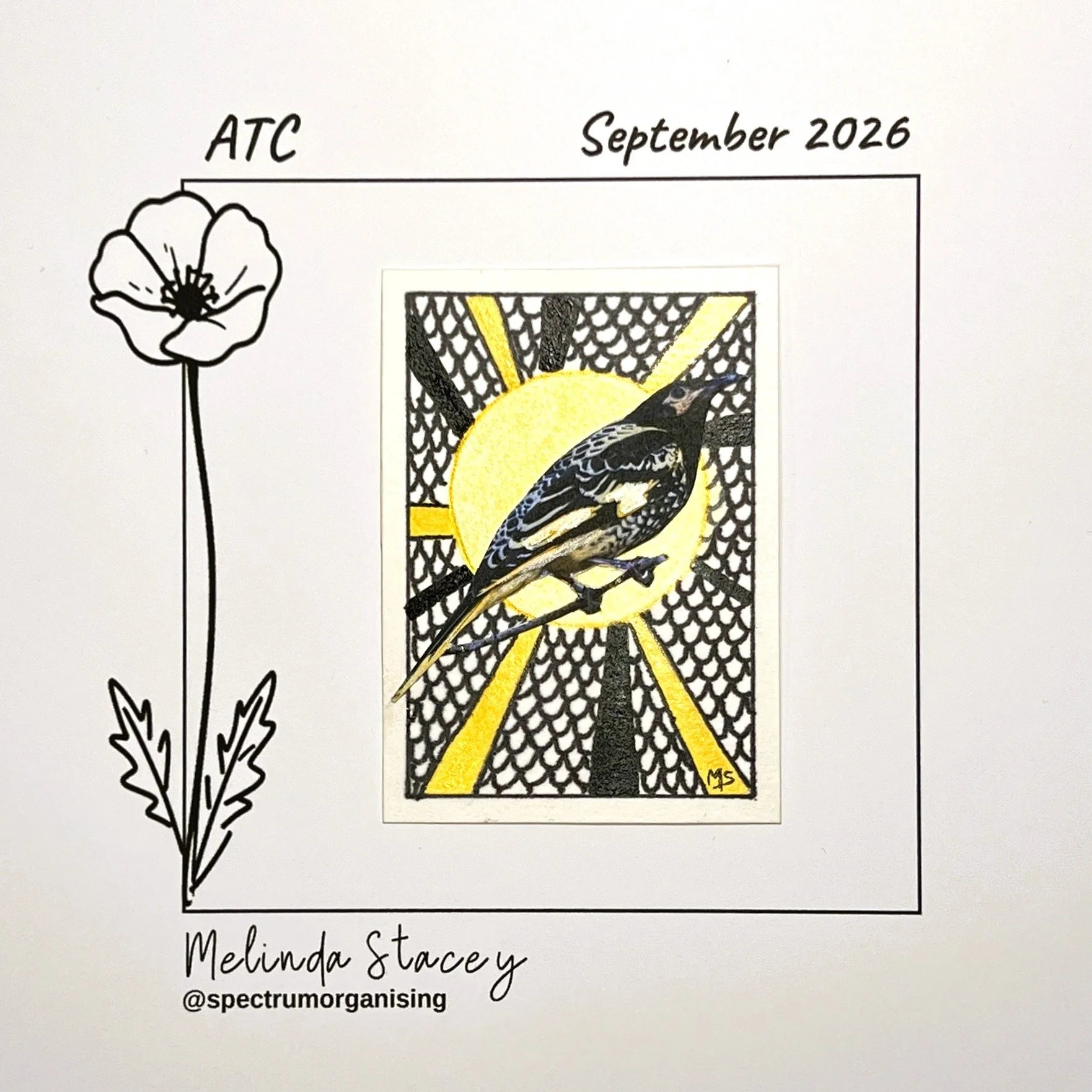 09-2026-ATC-REGENTHONEYEATER-06/36
