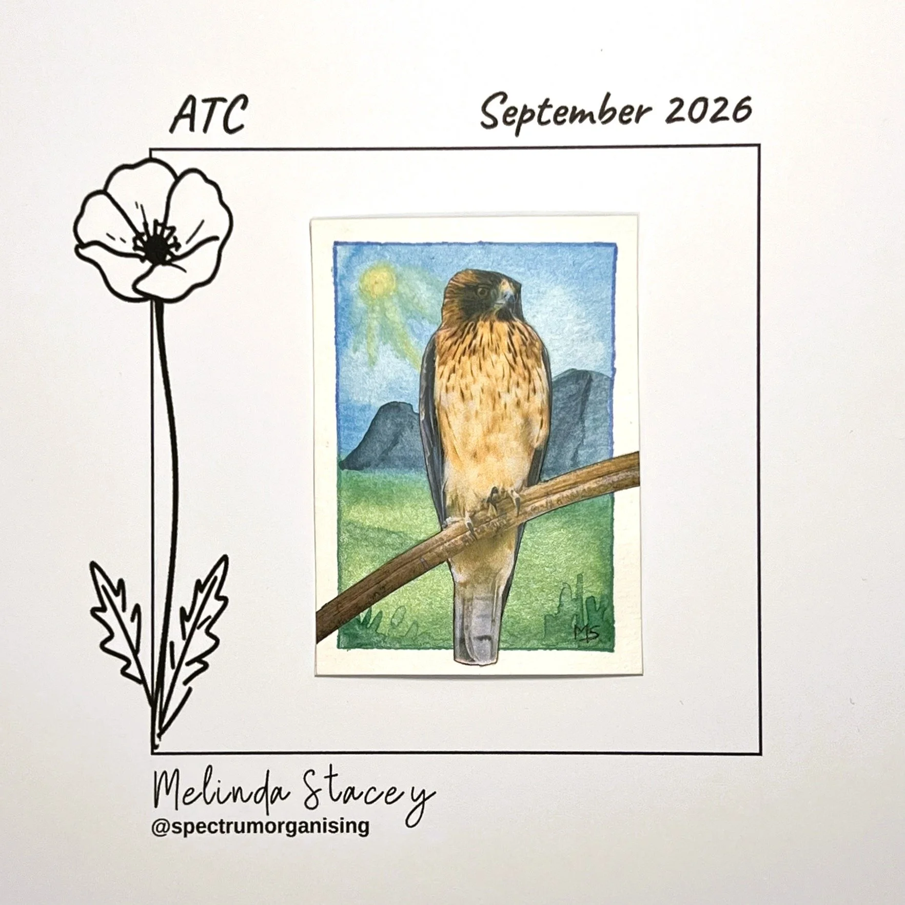 09-2026-ATC-LITTLEEAGLE-02/36
