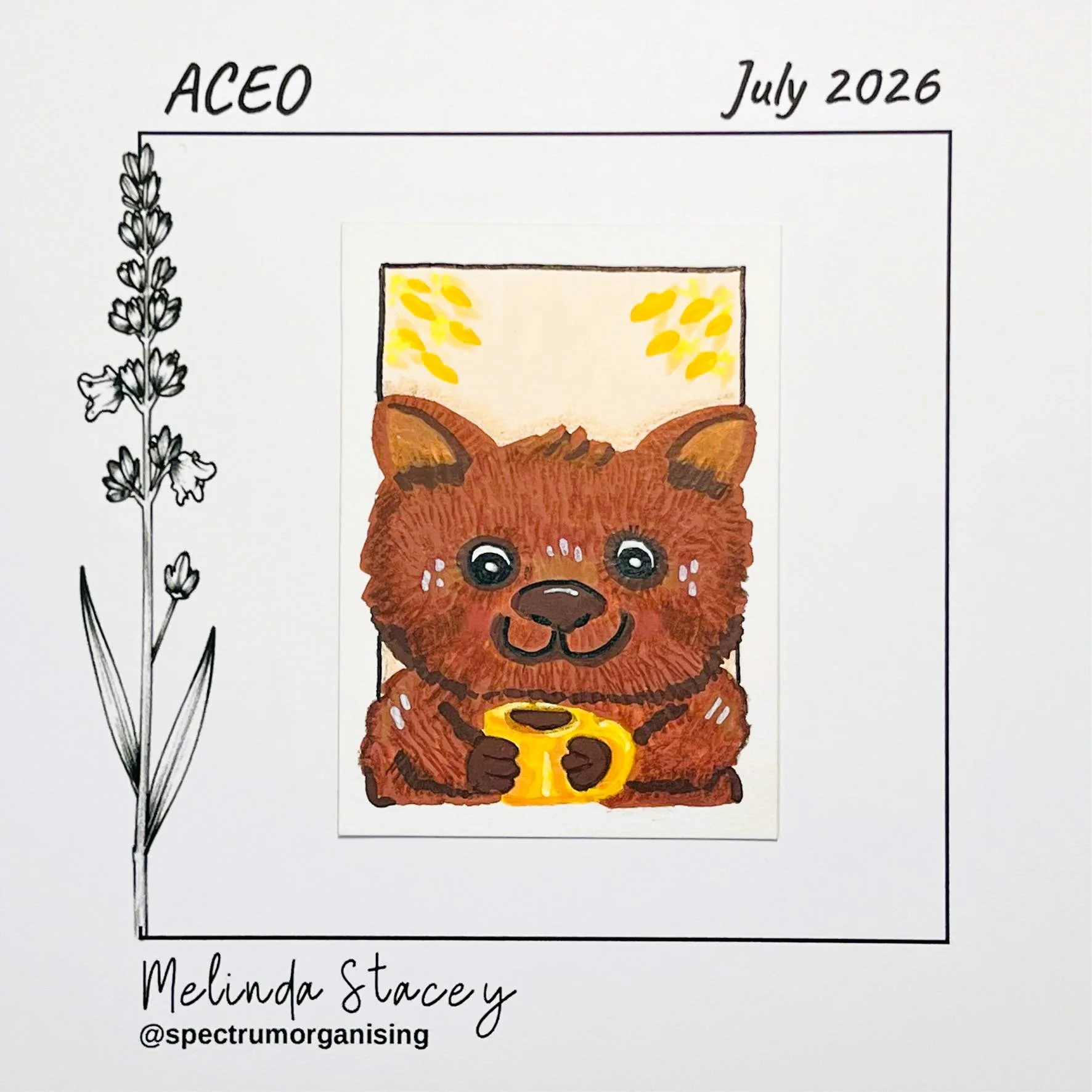 07-2026-ACEO-COSYAUSTRALIANA-WOMBAT-01/01