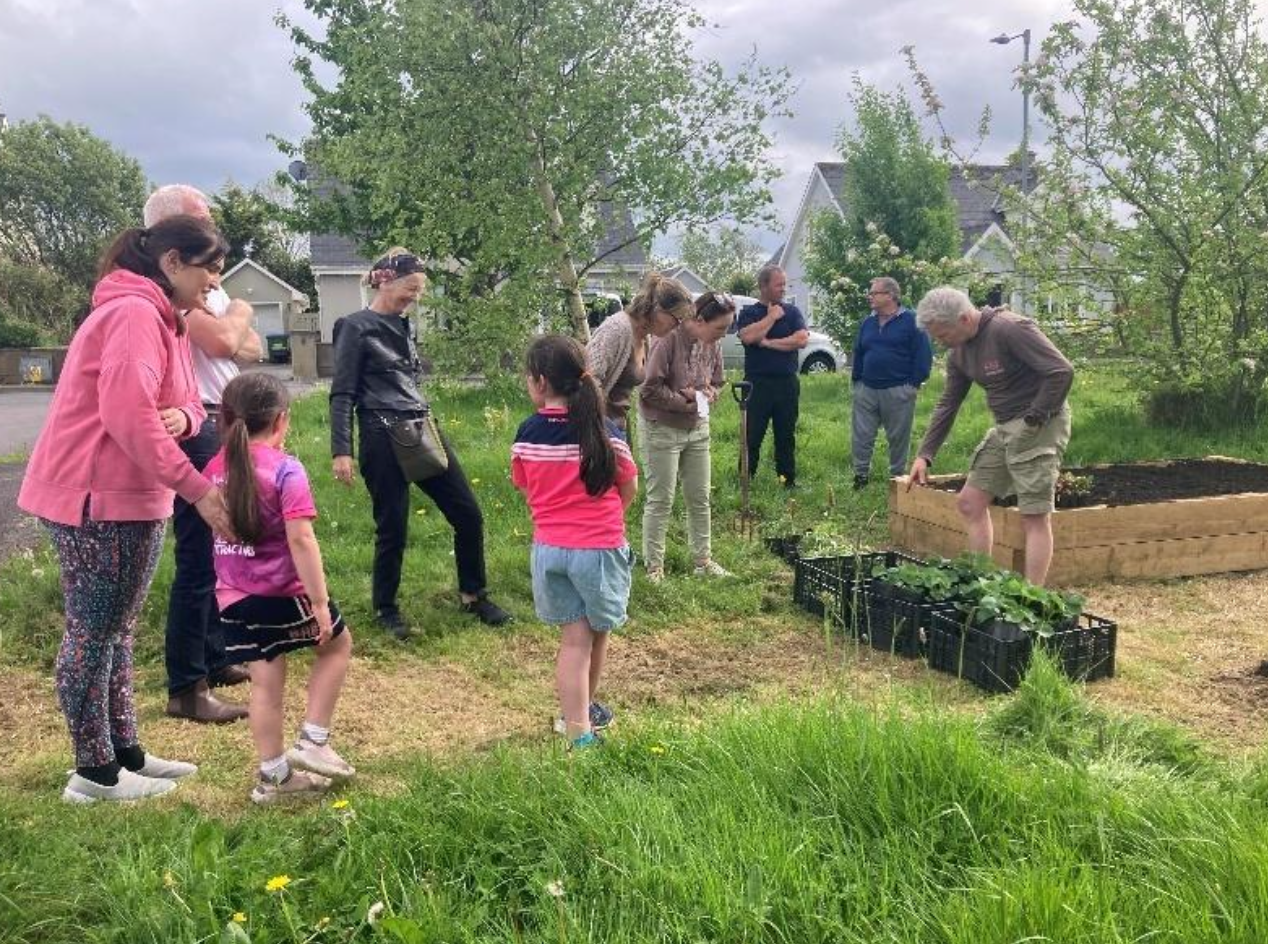 Raised Beds in Quin's Housing Estates