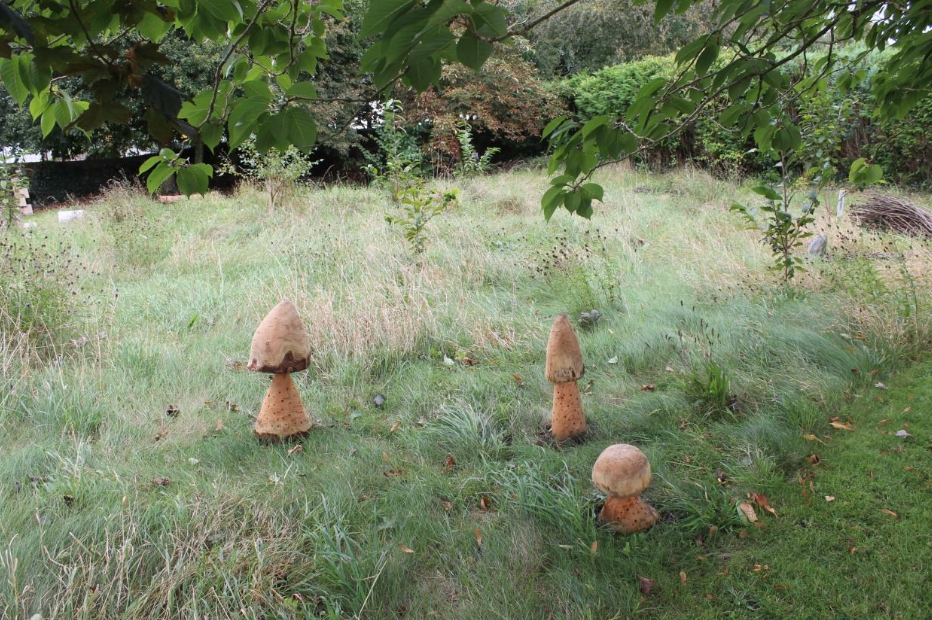 Arbutus Grove Nature &amp; Sensory Garden Trail