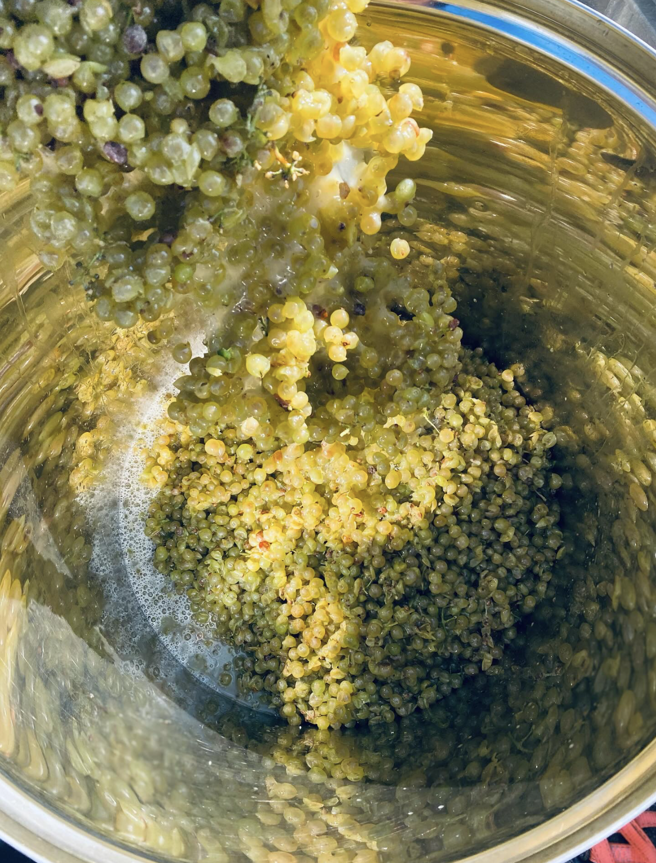 Green grapes in a glass jar with some foam or bubbles at the bottom.