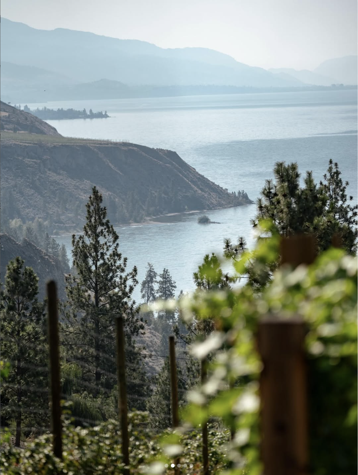 Scenic view of a lake surrounded by hills and trees, with a fence and foliage in the foreground.