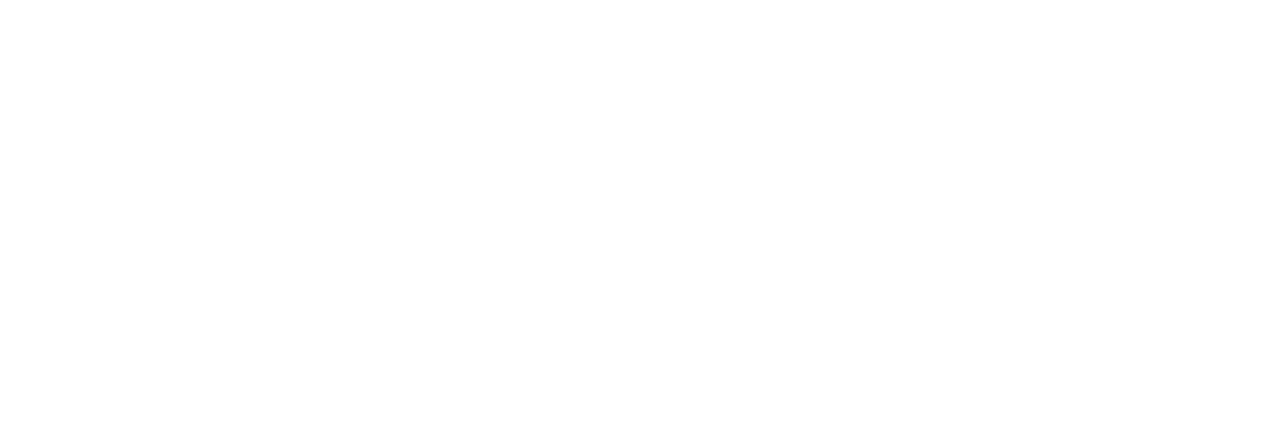 Developmental Discoveries logo.