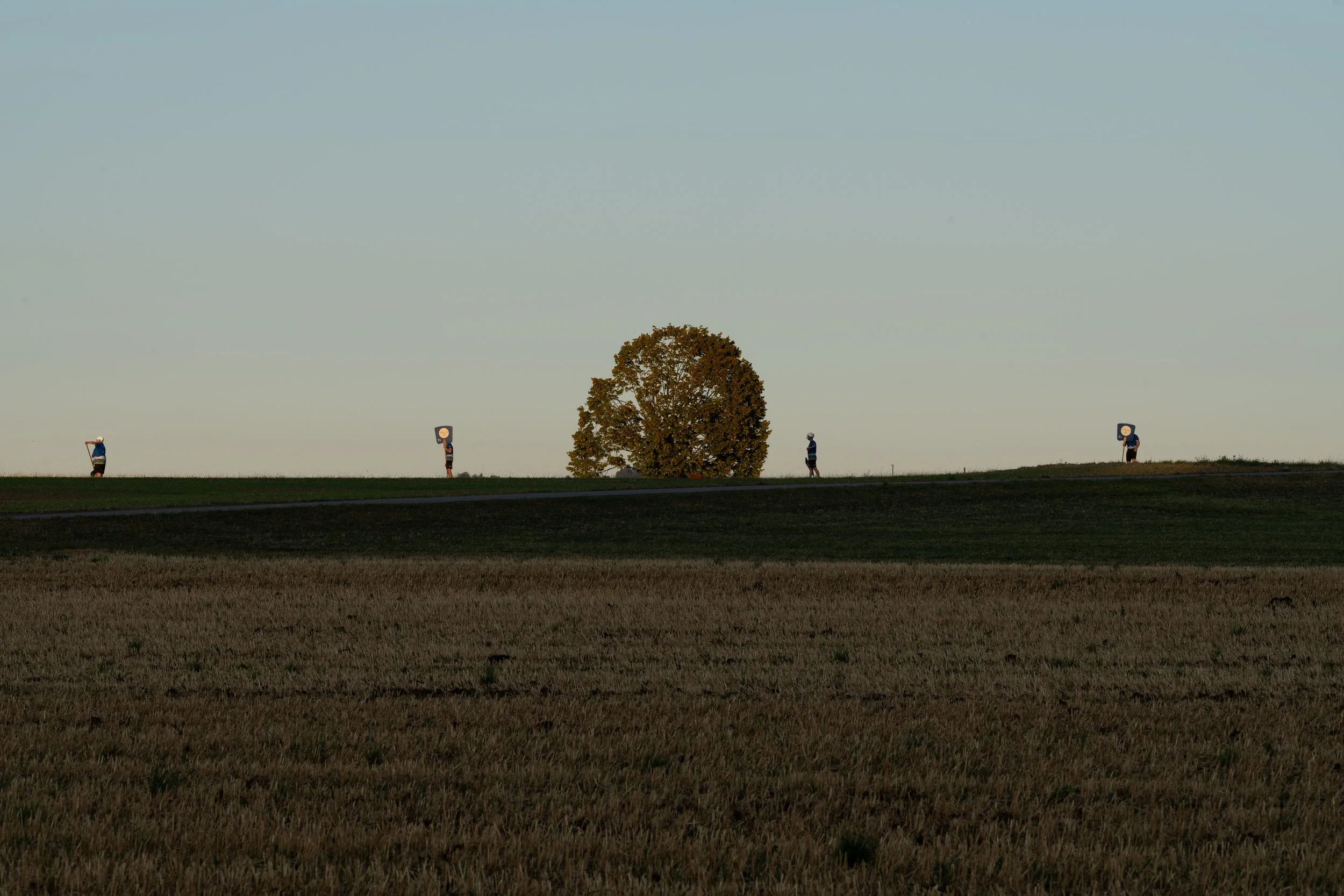 DSC_6174.jpg