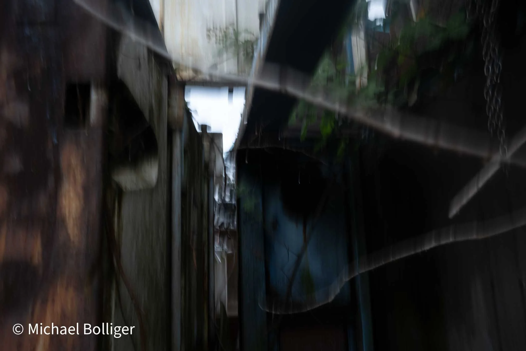 DSC_4558.jpg