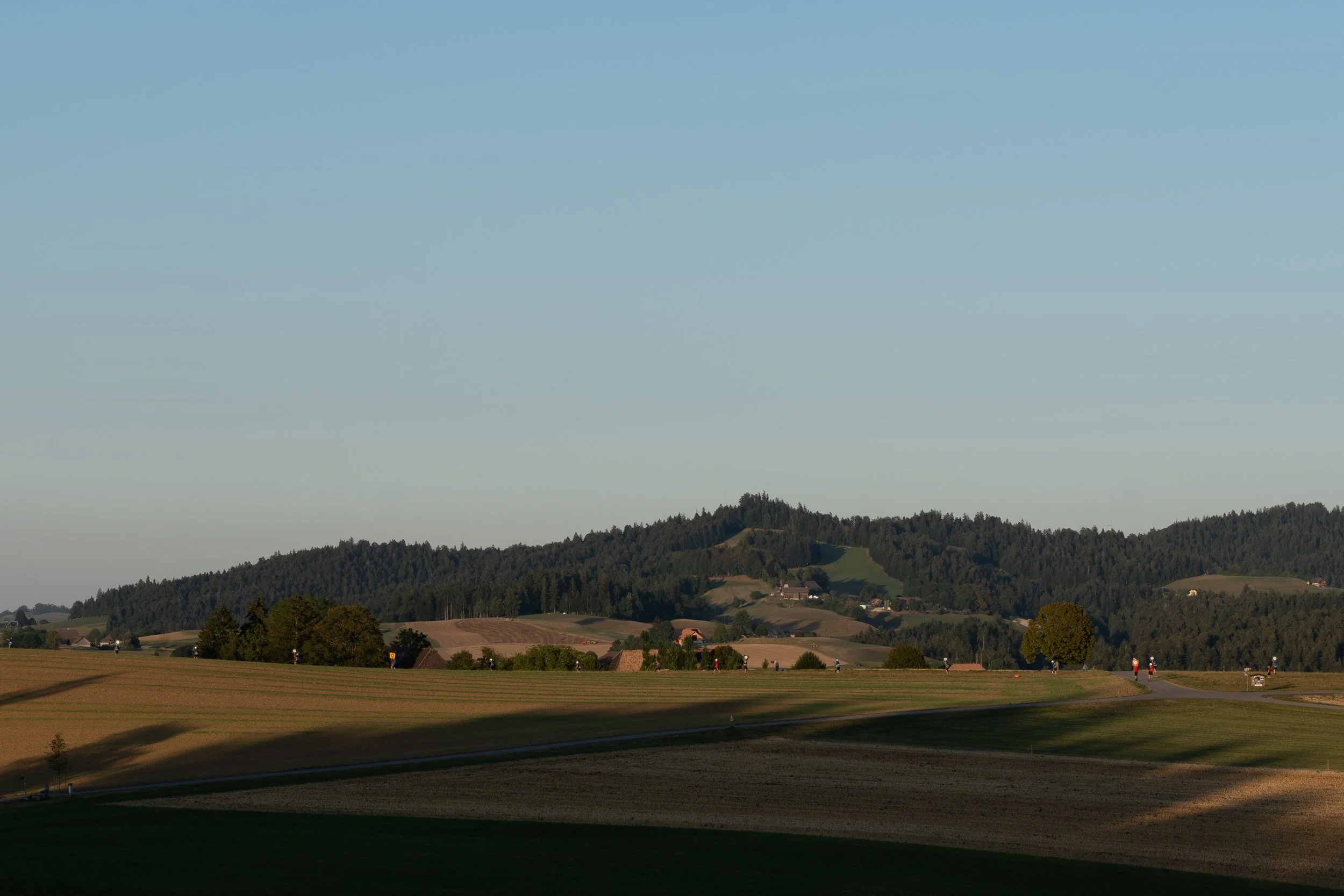 DSC_6156.jpg