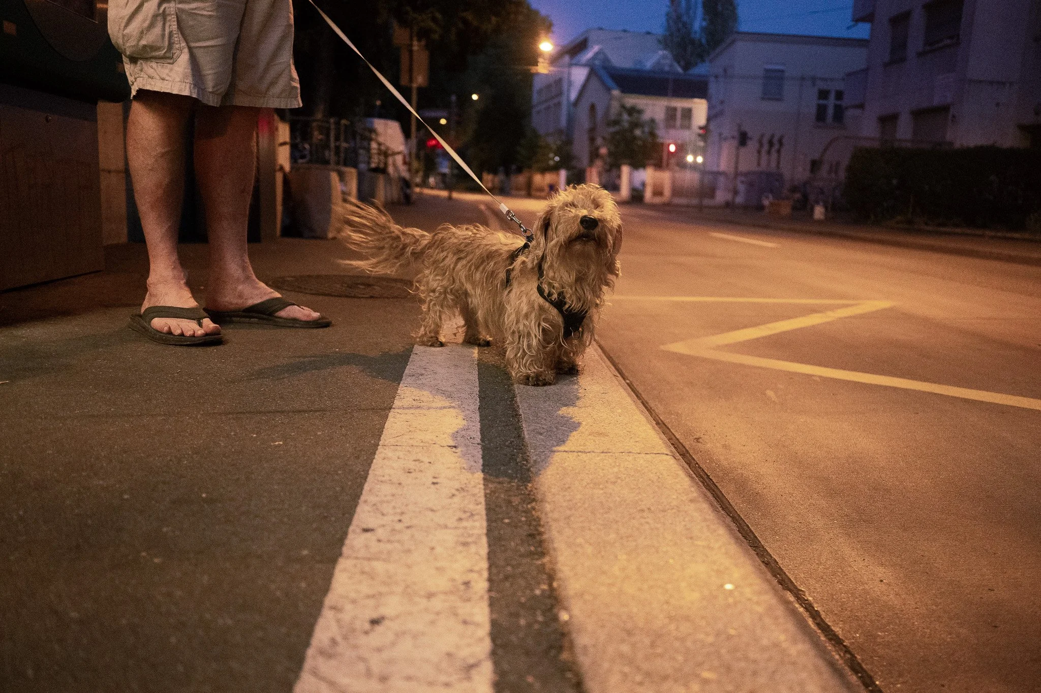 DSC_5253.jpg