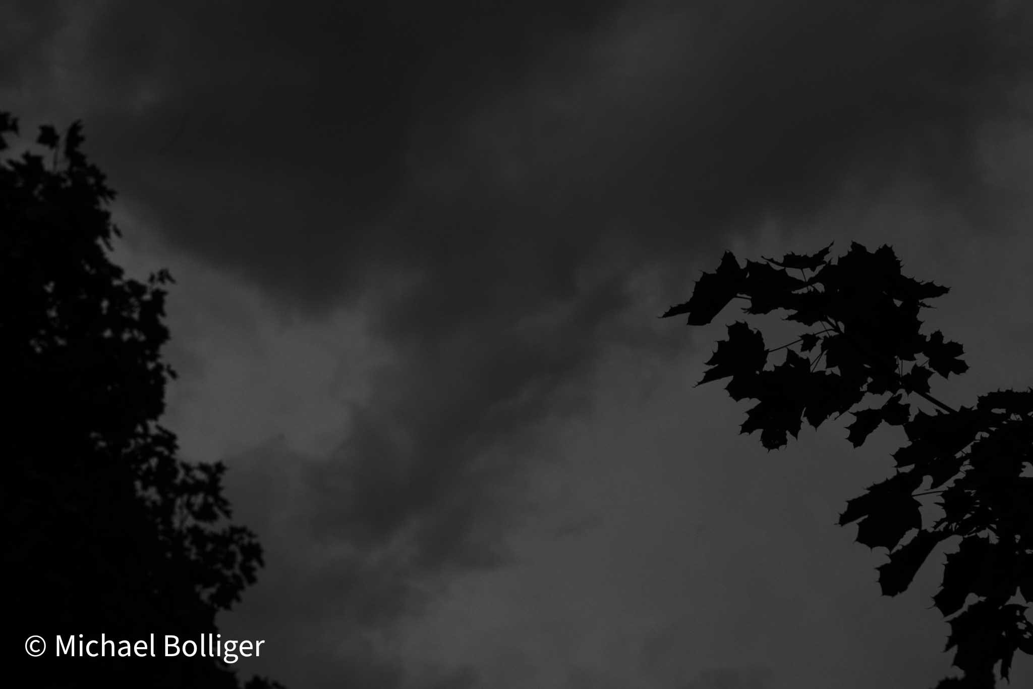 DSC_1787.jpg
