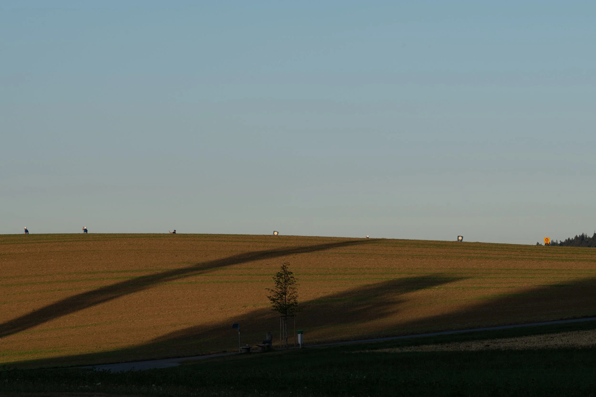DSC_6161.jpg