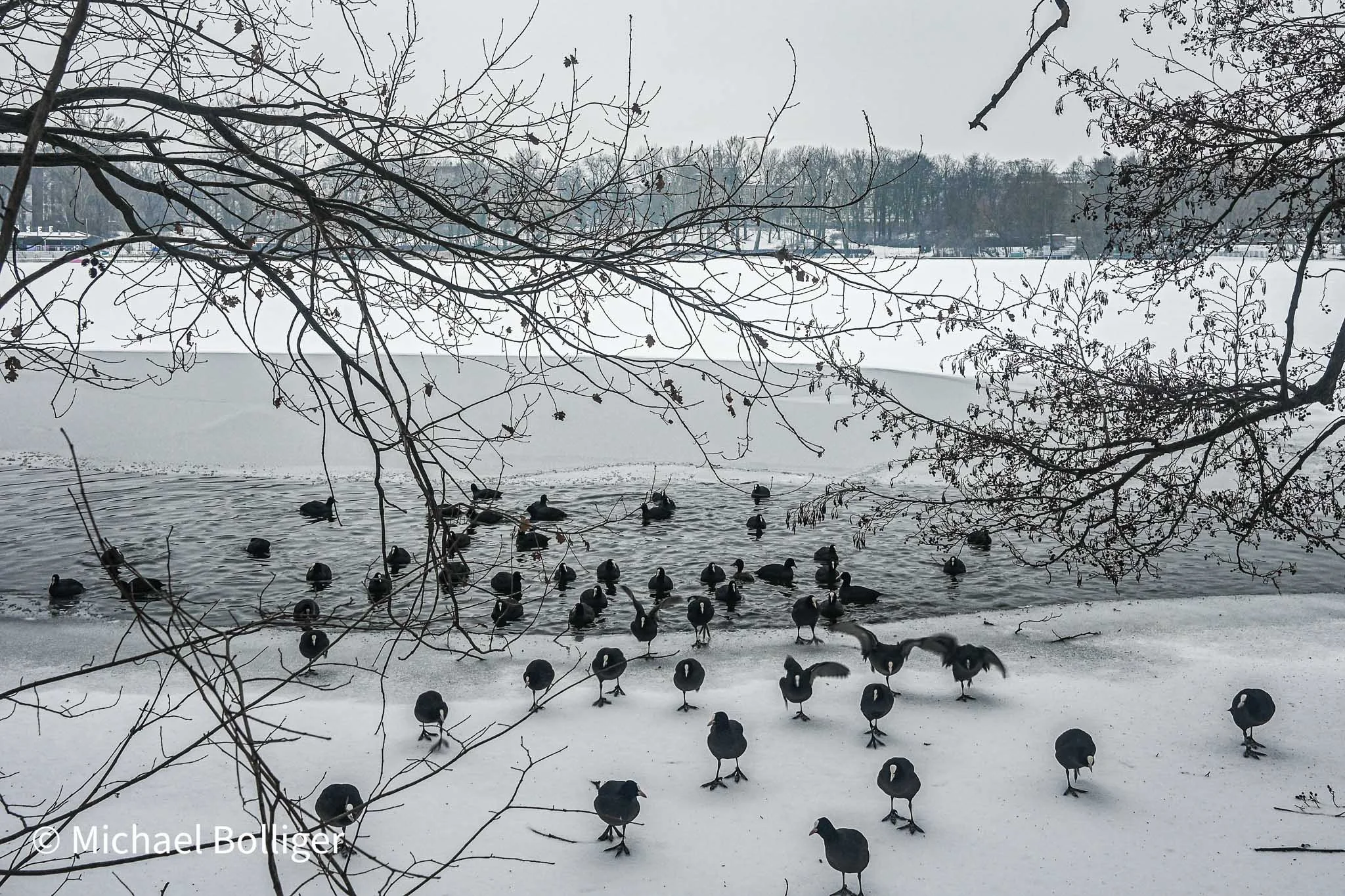 Weissensee, Berlin