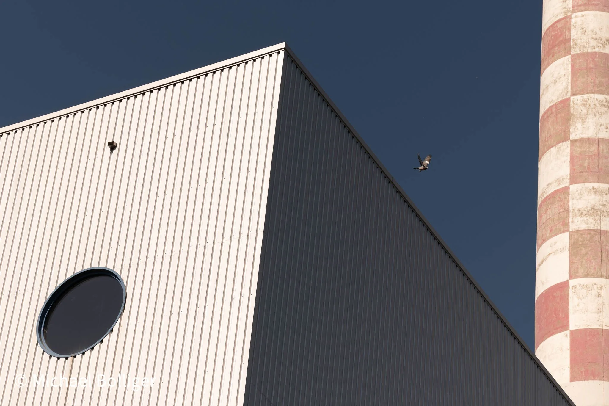 DSC_8811.jpg