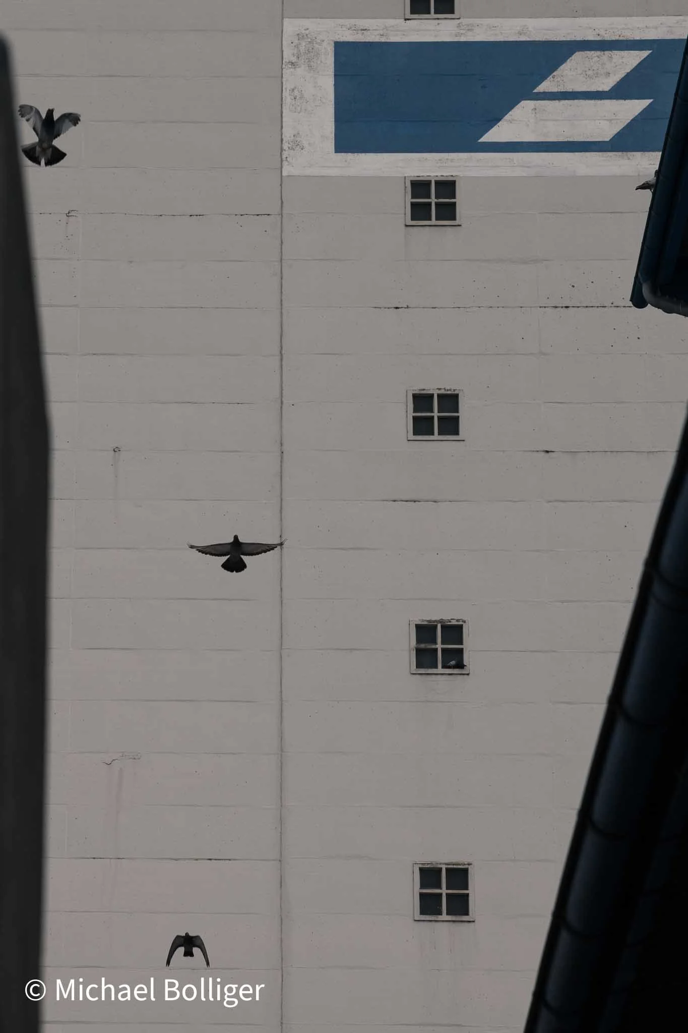 DSC_3094.jpg