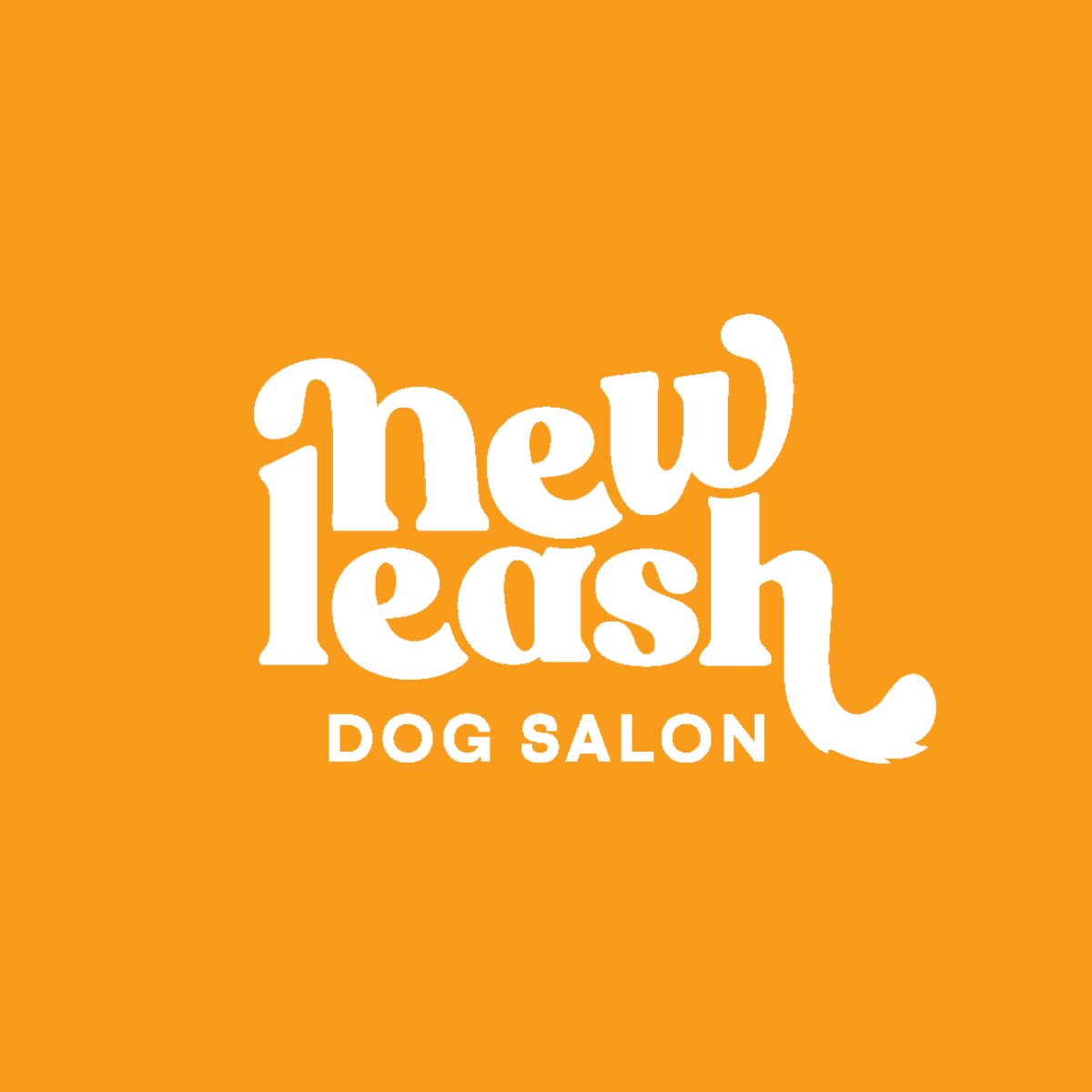 Introducing New Leash Dog Salon