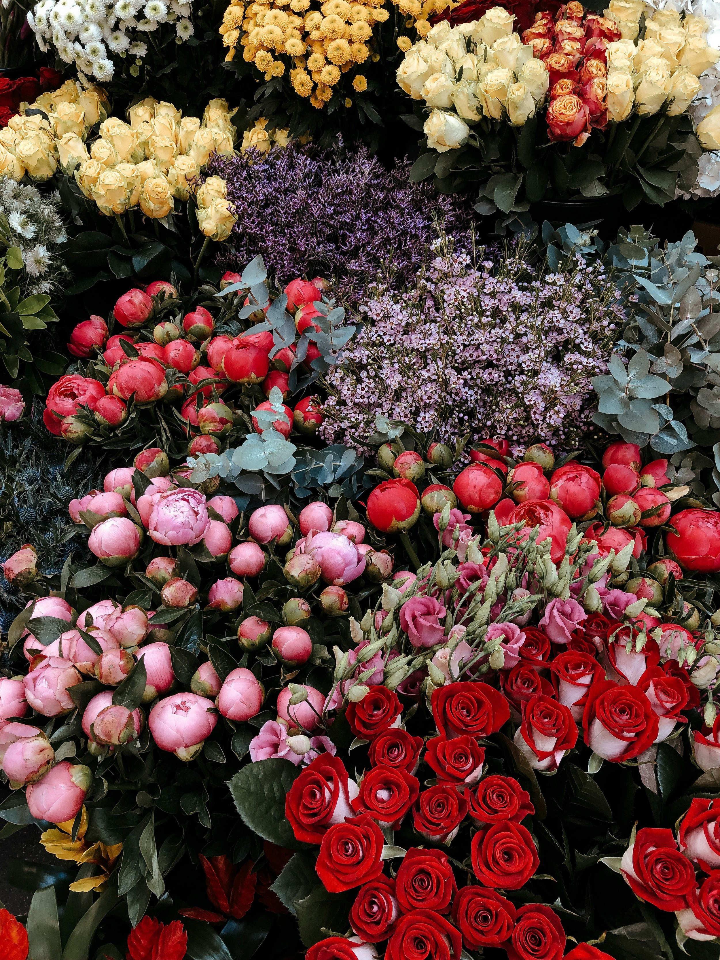 An assortment of flowers including white, yellow, pink, purple, and red roses, along with other blossoms and greenery.