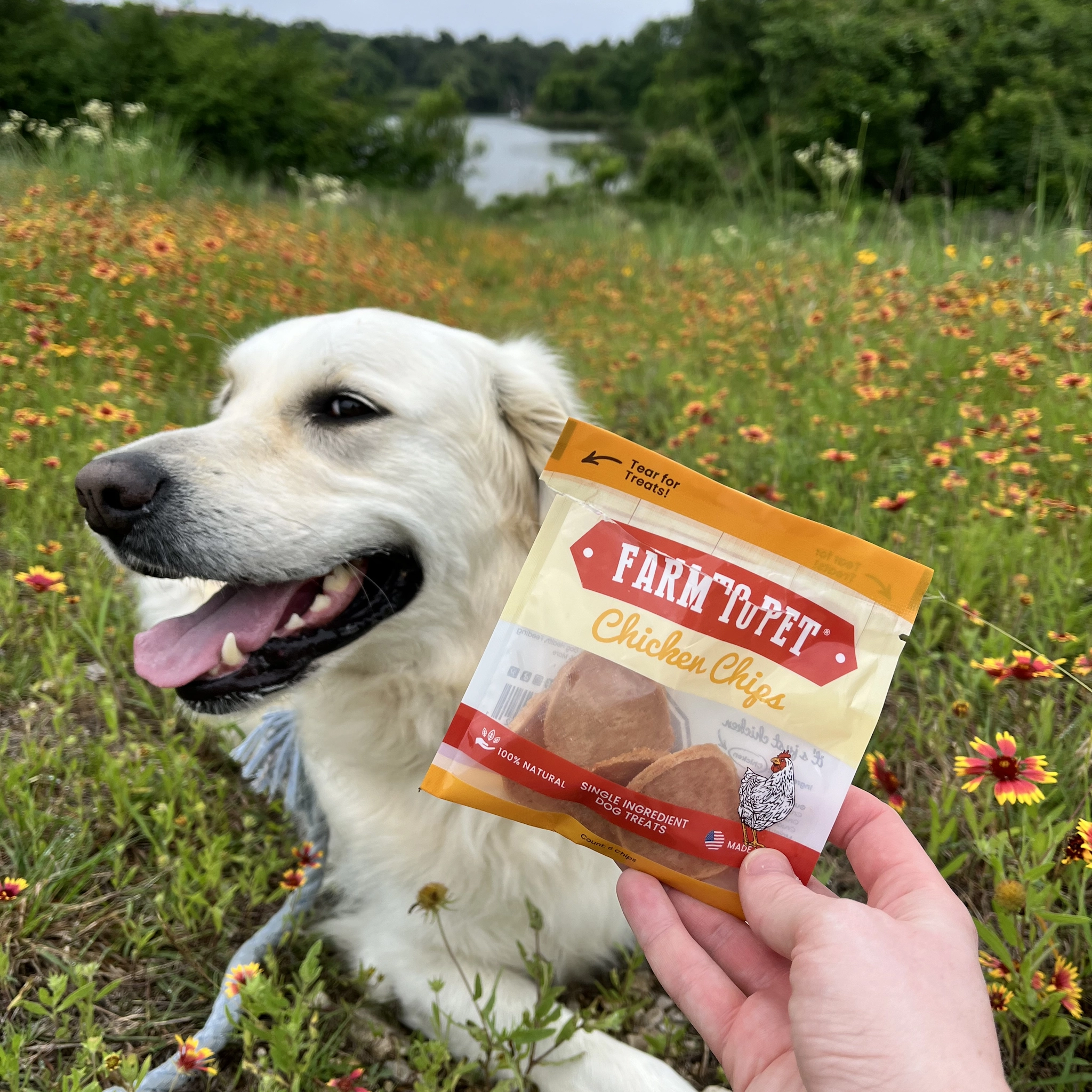 Chicken Chips Healthy Dog Snack Pack