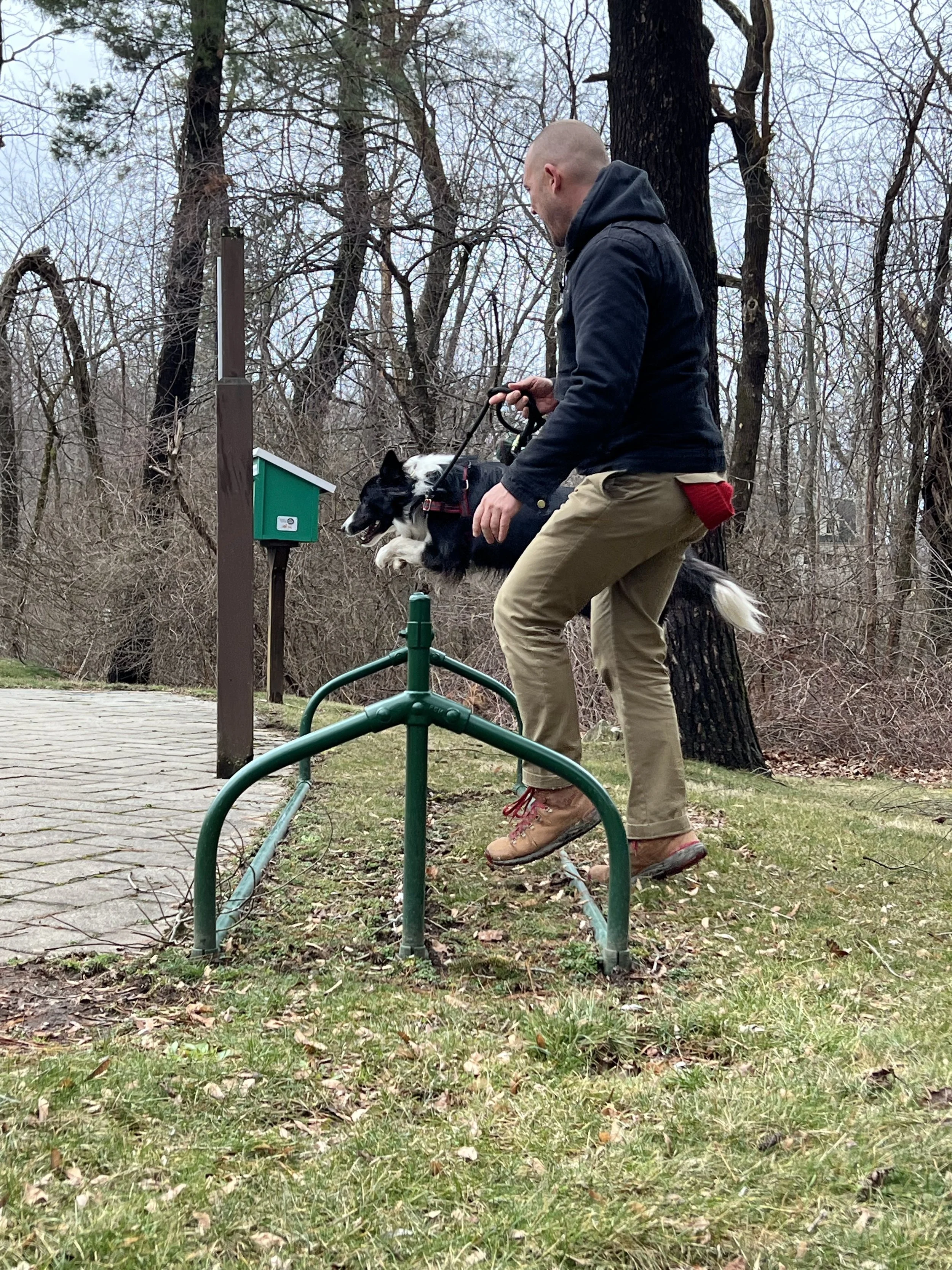 Walk 'n Train