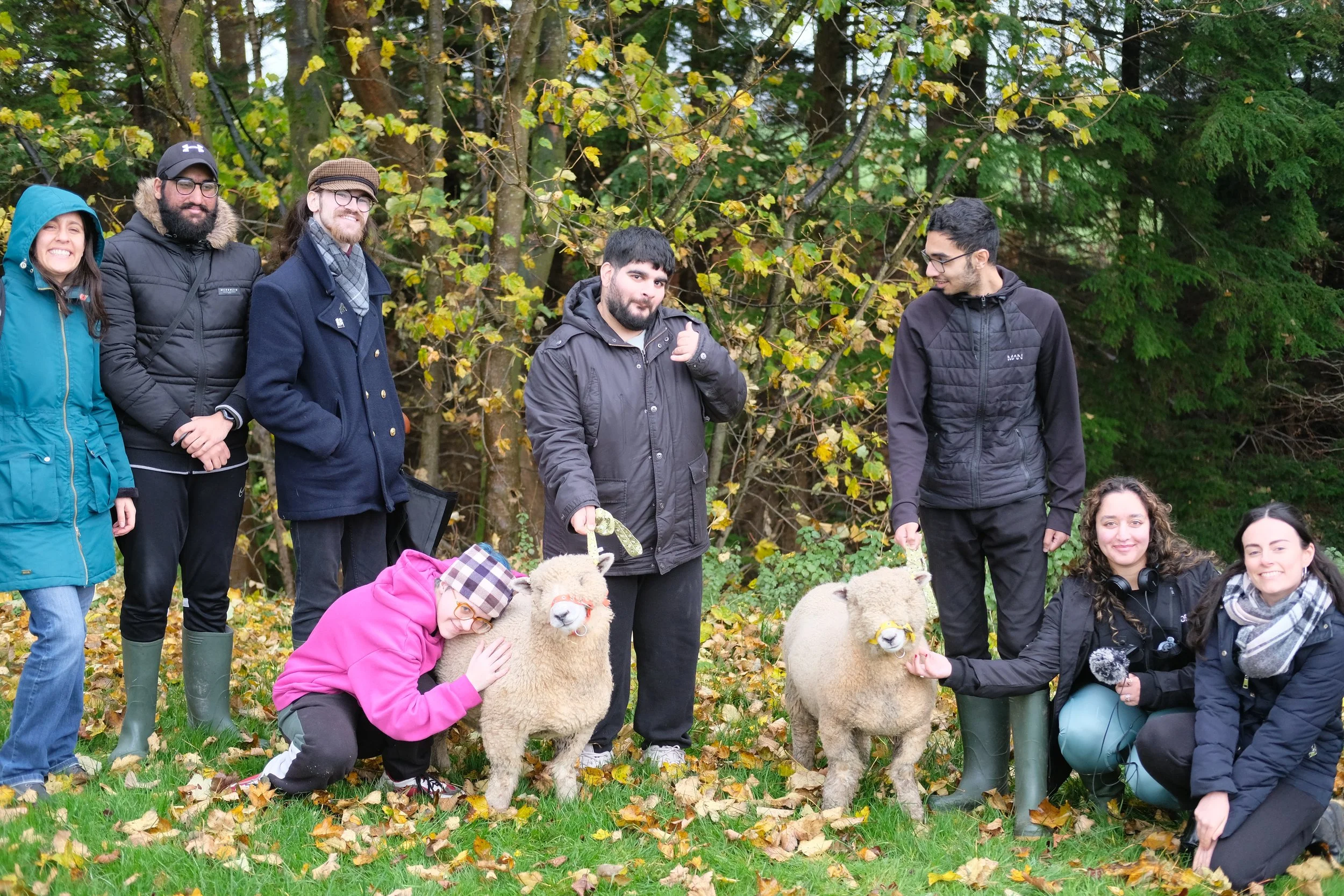Sheep.JPG