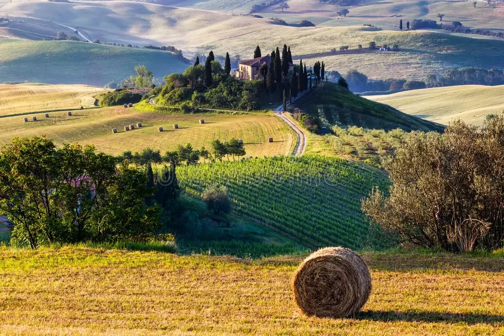 il-paesaggio-toscano-61610304.webp